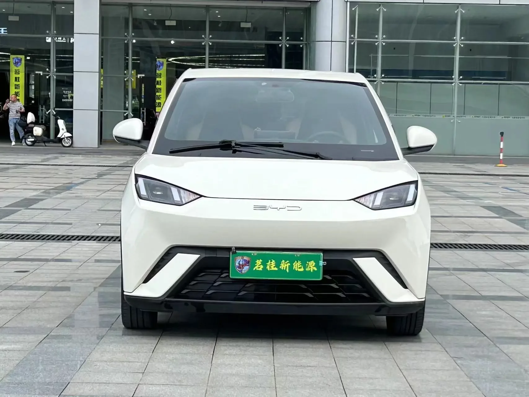 BYD seagull