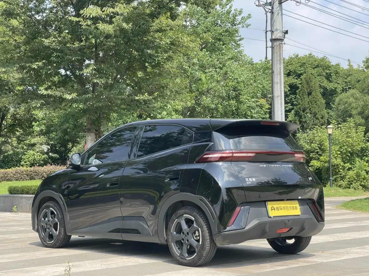 BYD seagull