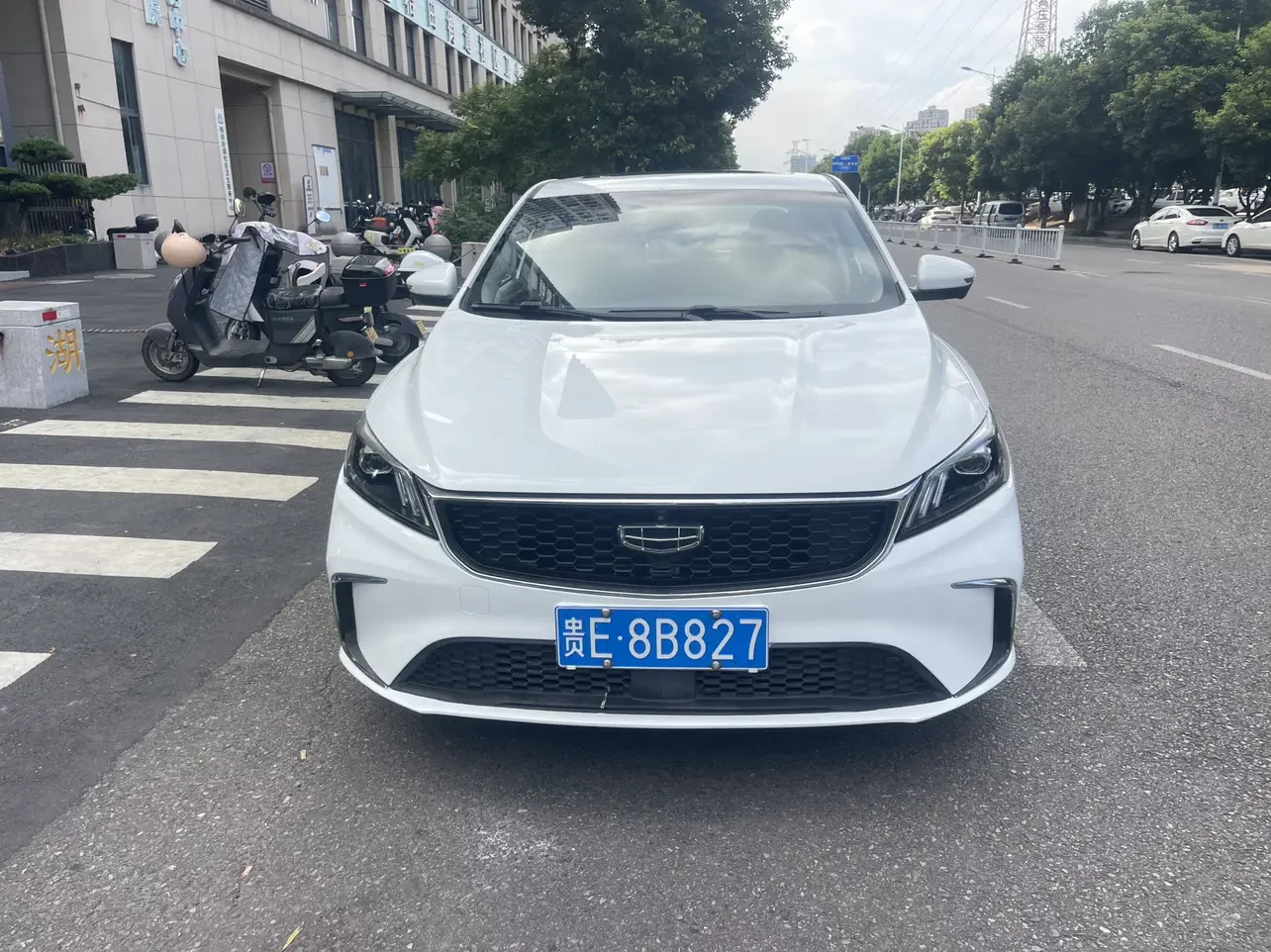 Geely Binrui