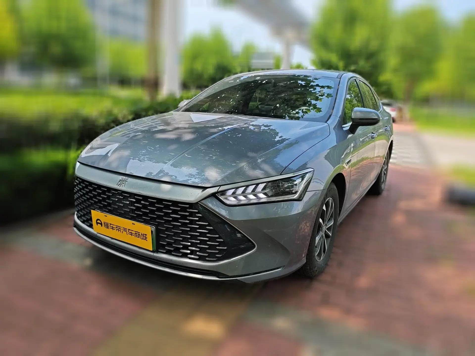 BYD Qin PLUS DM