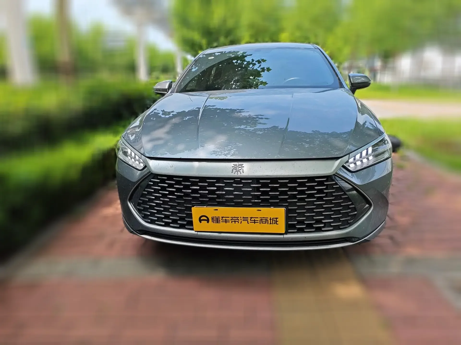 BYD Qin PLUS DM