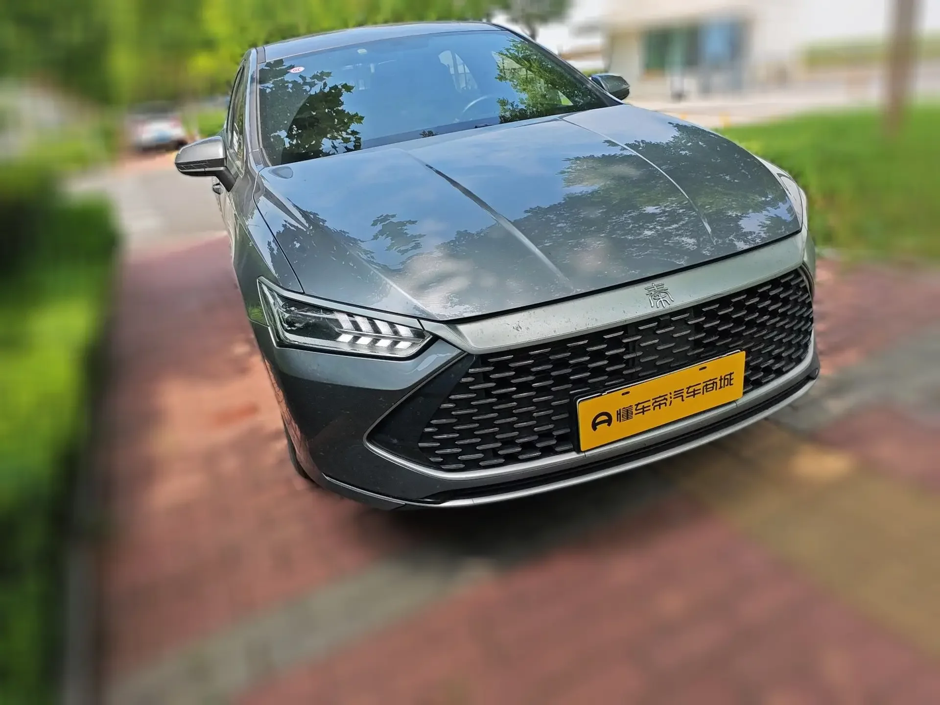 BYD Qin PLUS DM