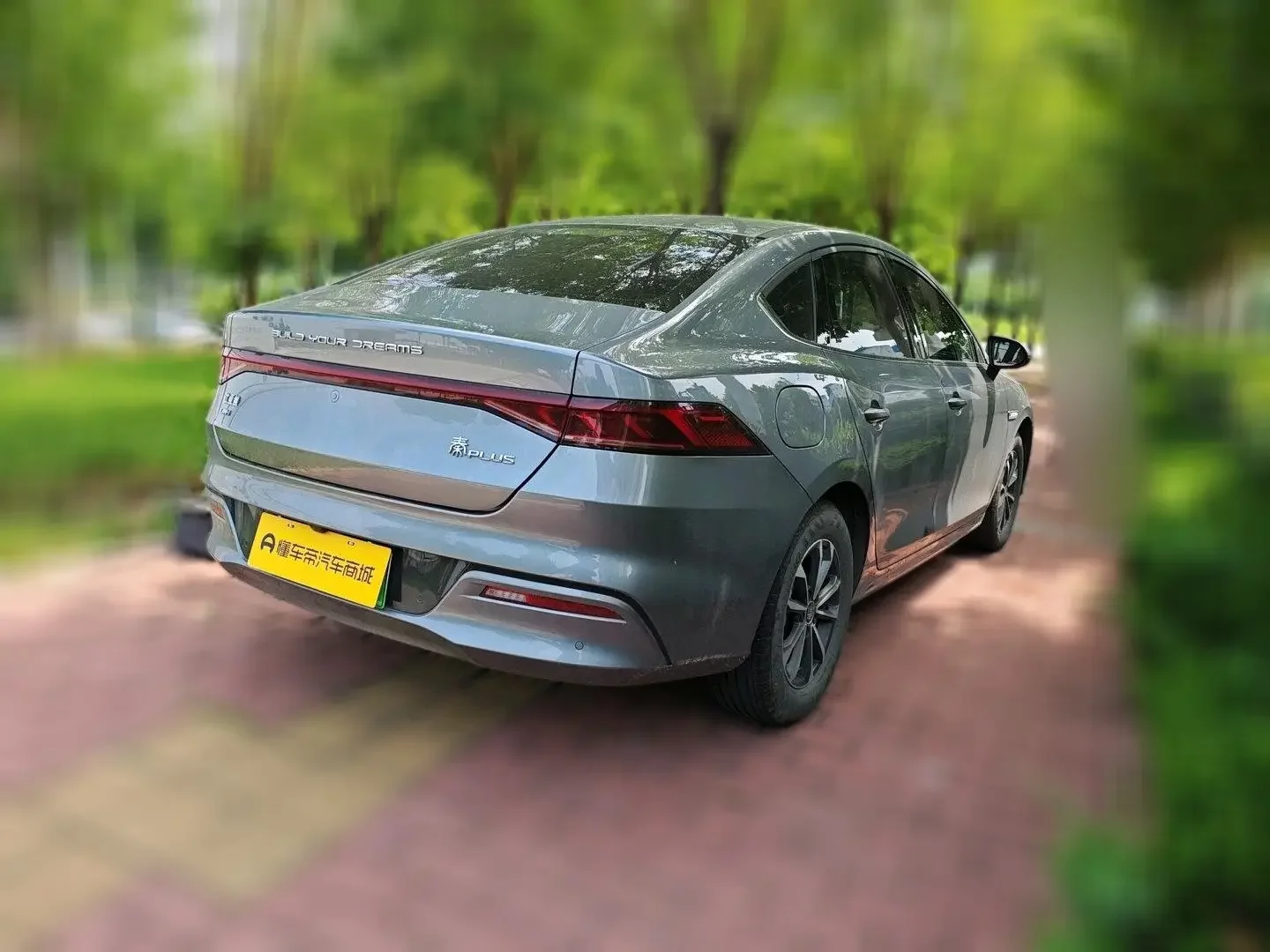 BYD Qin PLUS DM