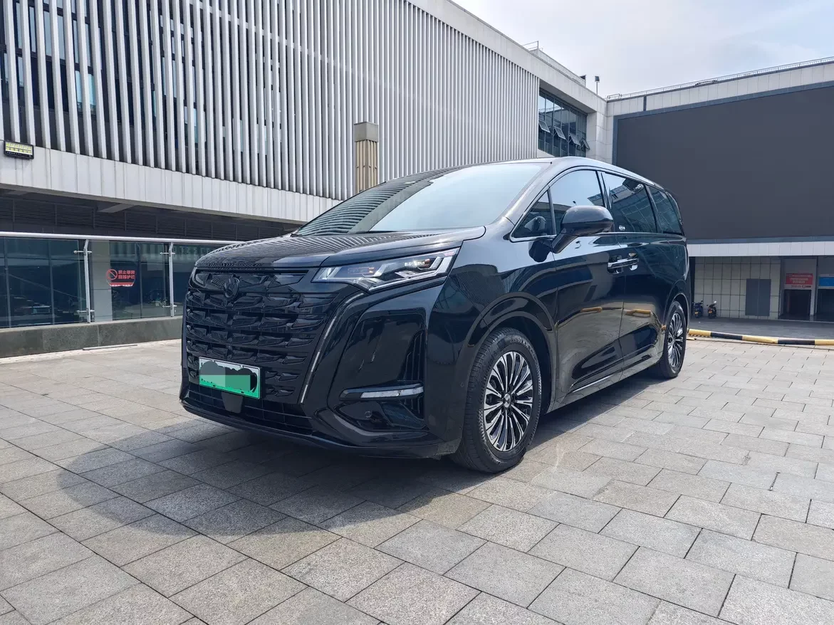 Denza D9 DM
