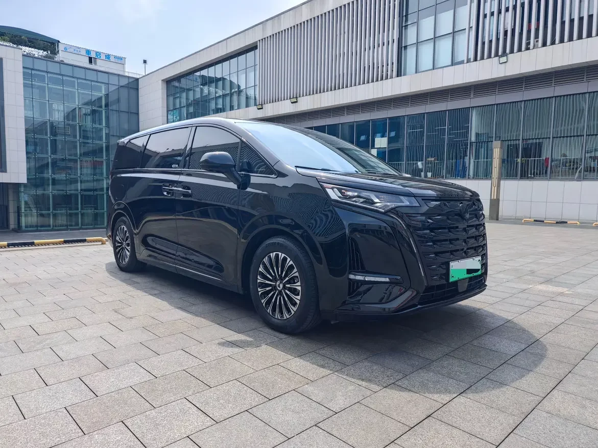 Denza D9 DM