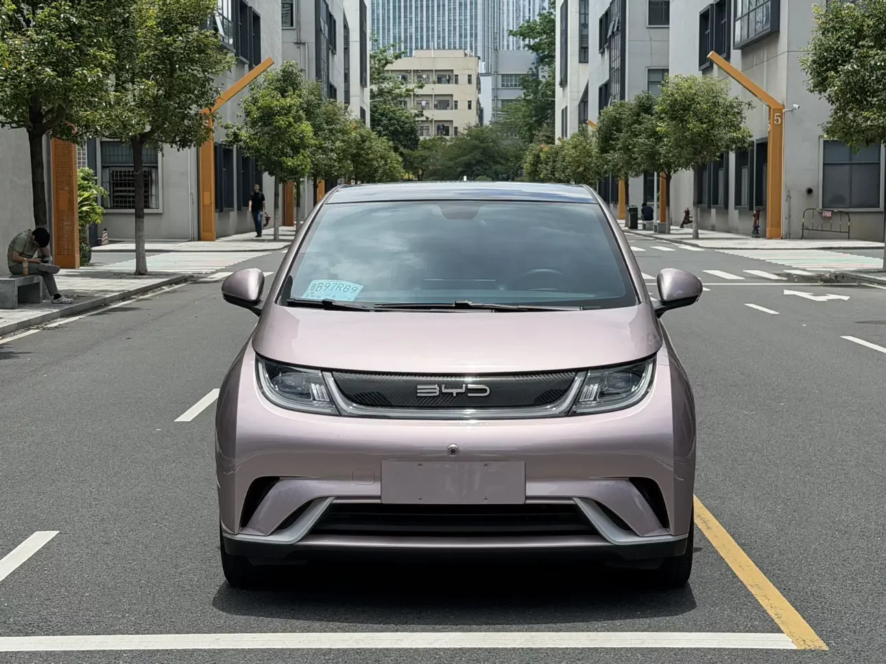 BYD dolphin