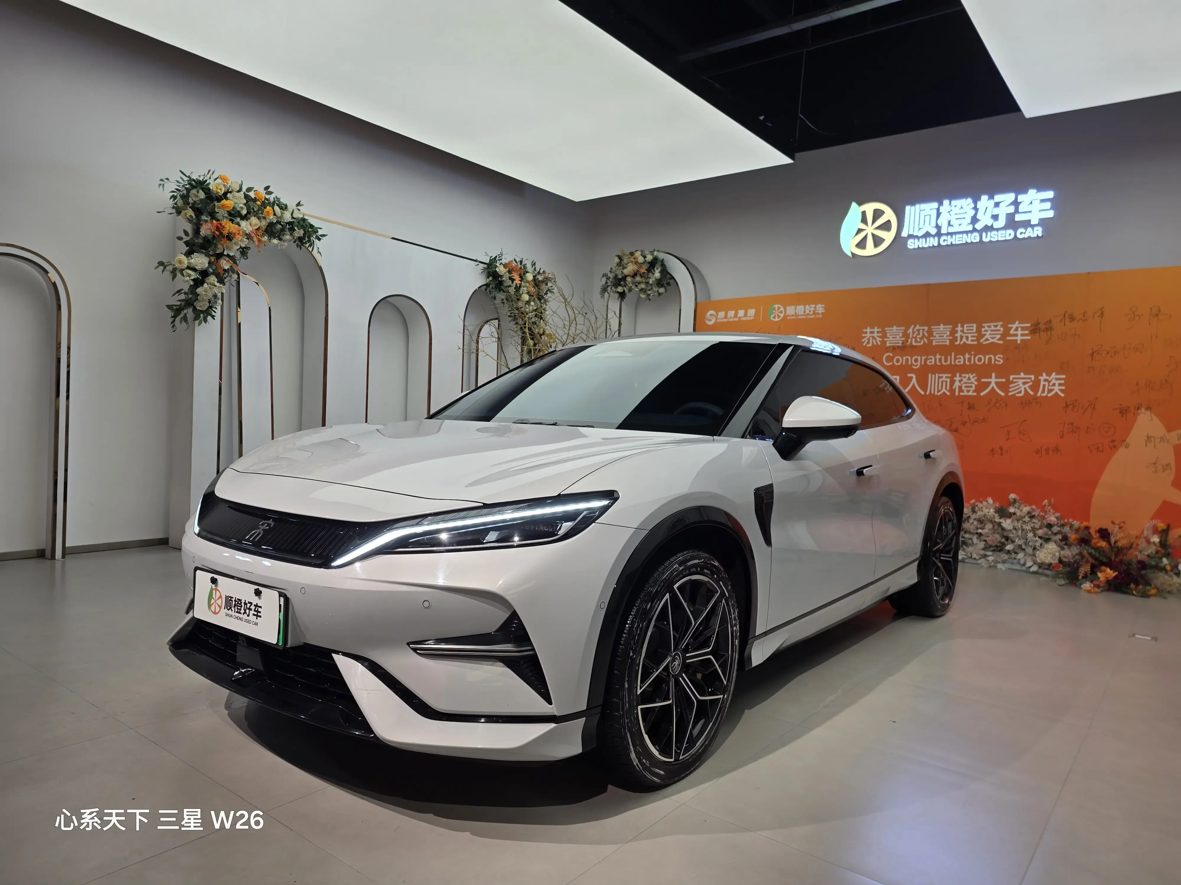 BYD Song L EV