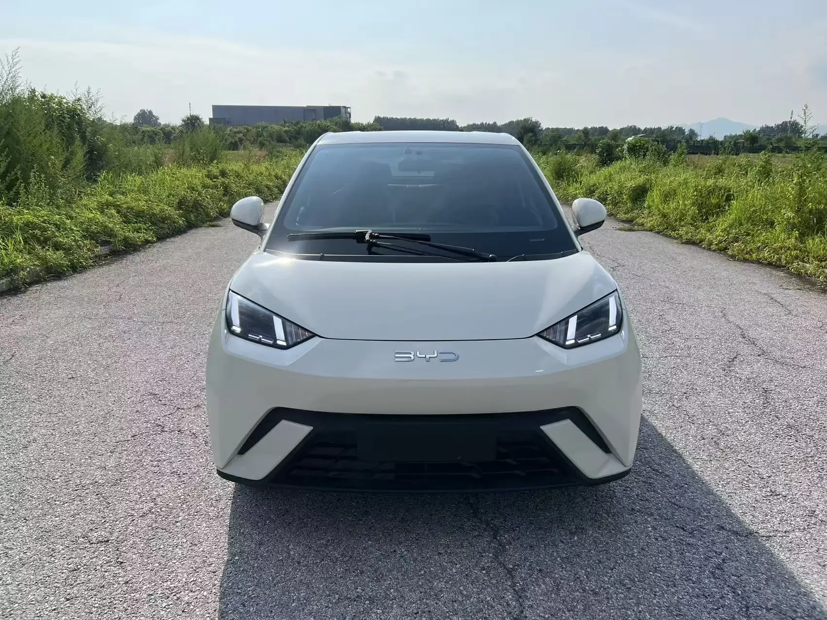 BYD seagull