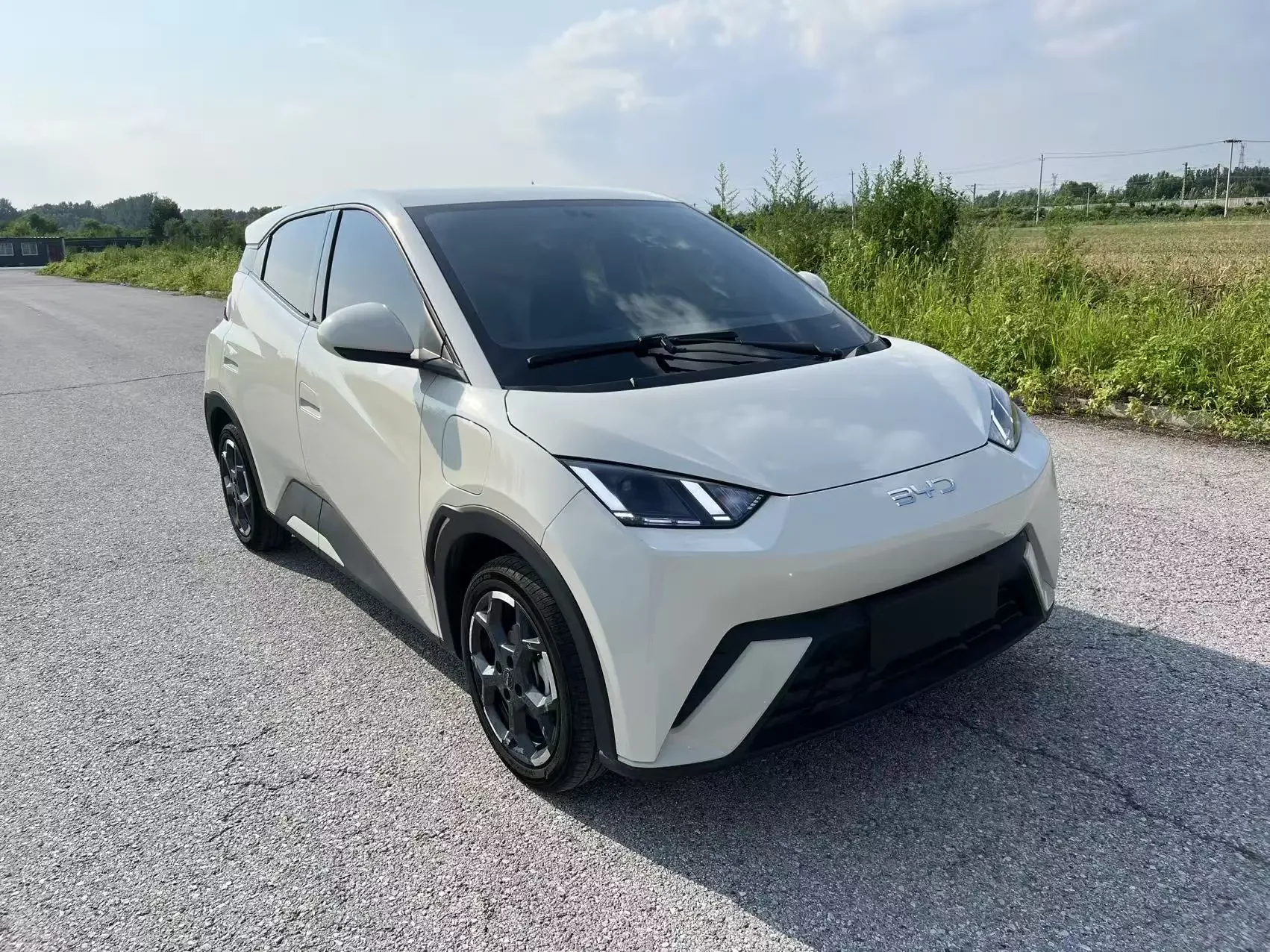 BYD seagull