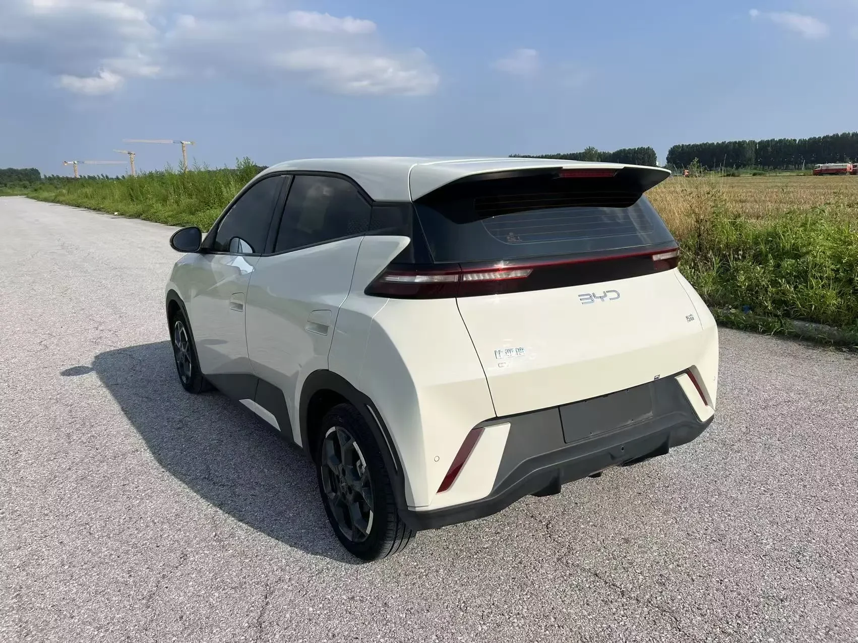 BYD seagull