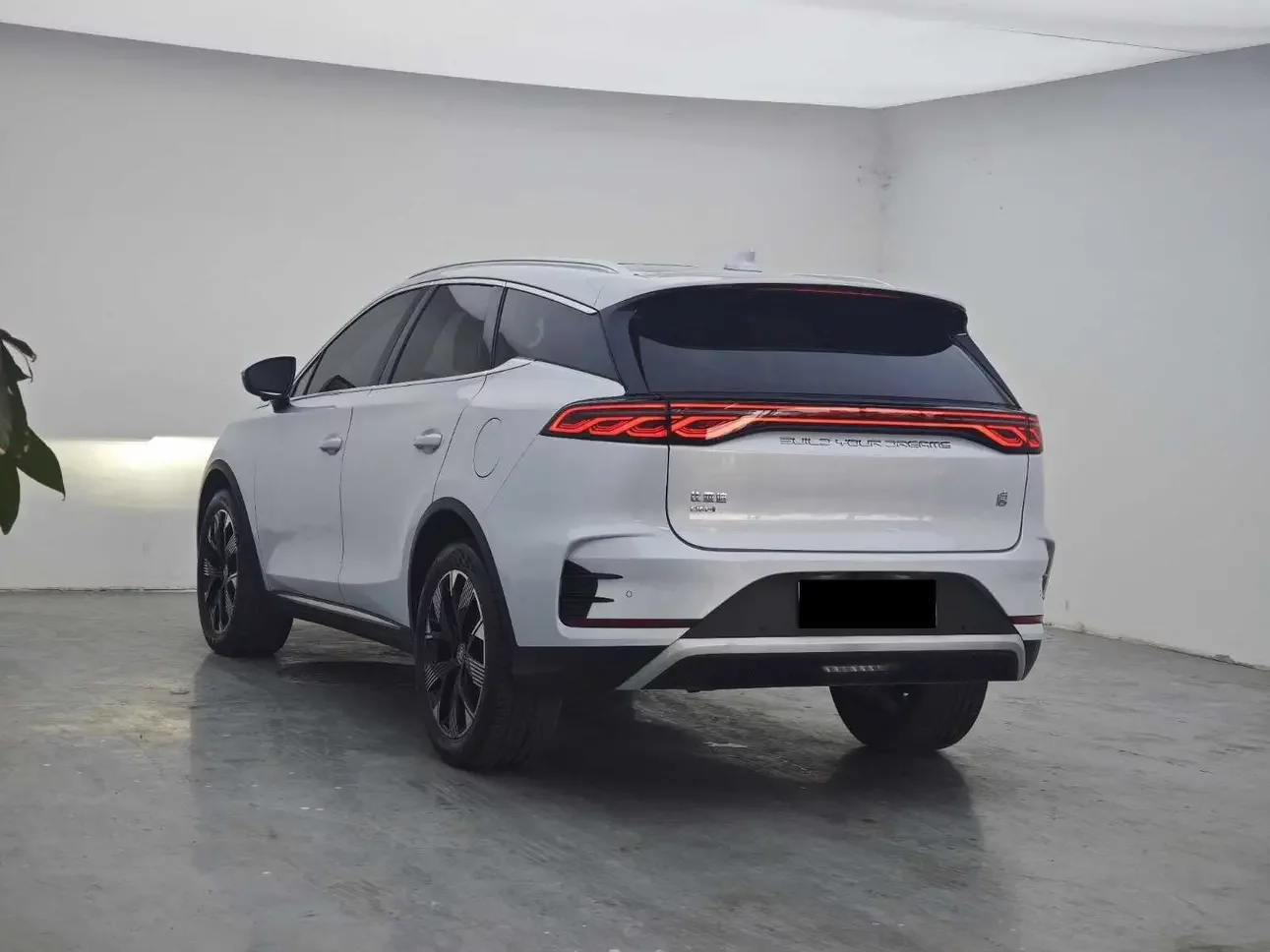 BYD Tang DM
