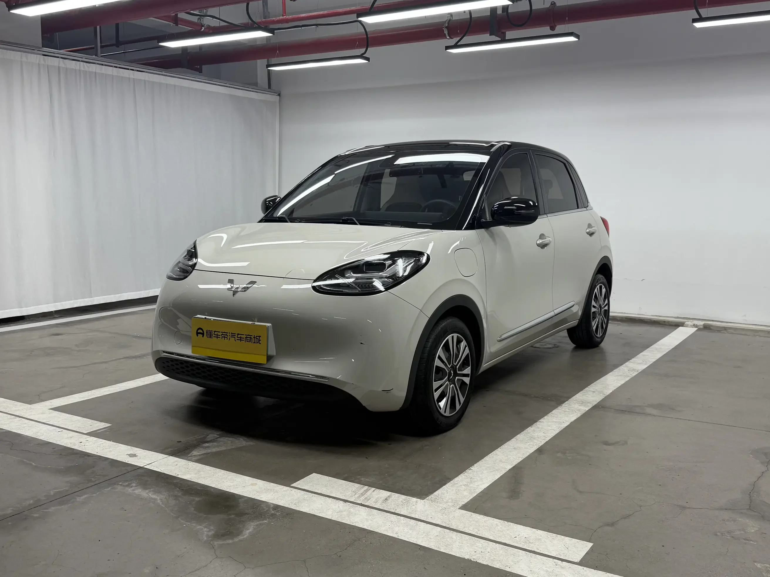 Wuling Bingo