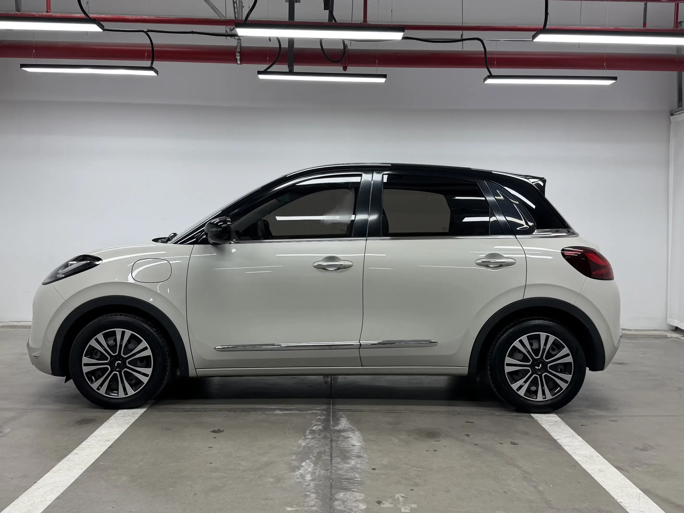 Wuling Bingo