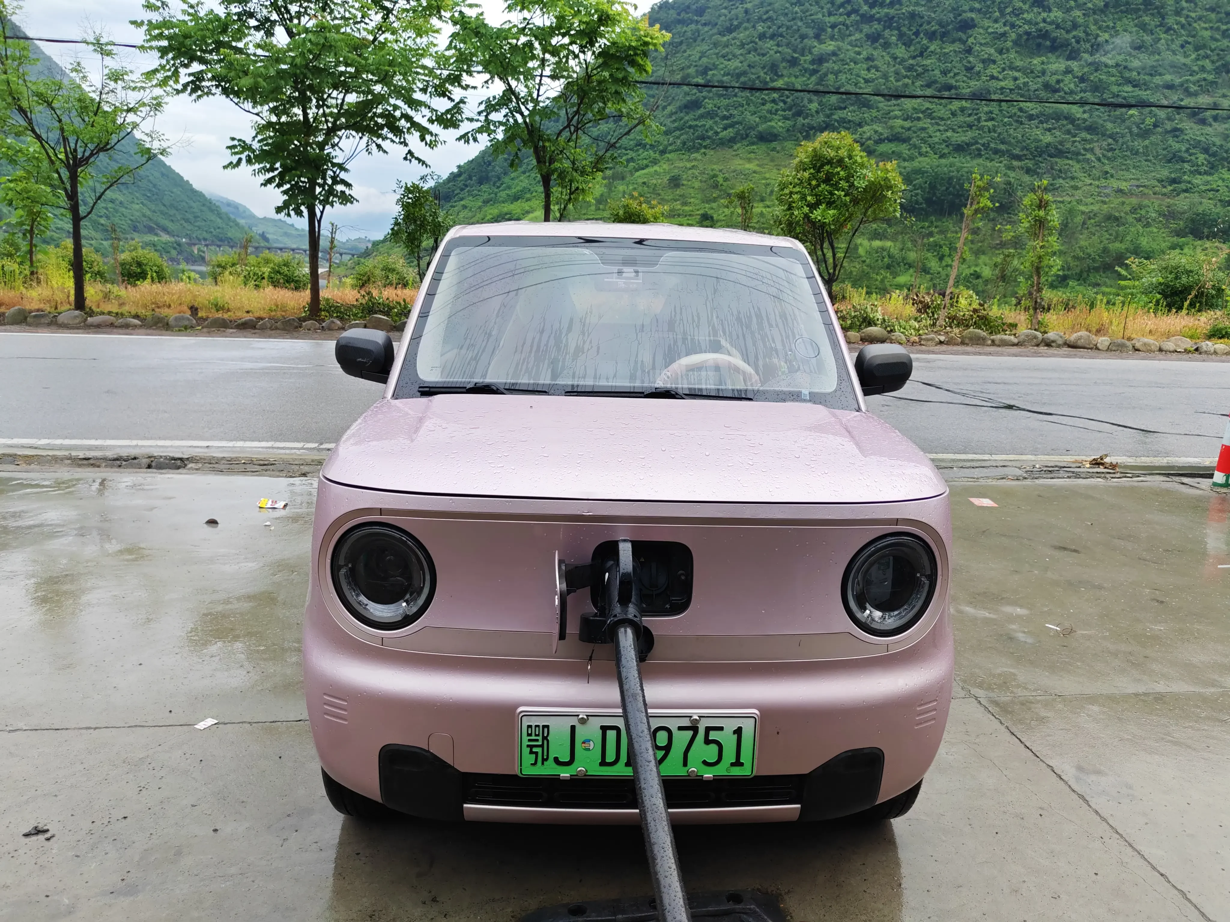 Geely panda