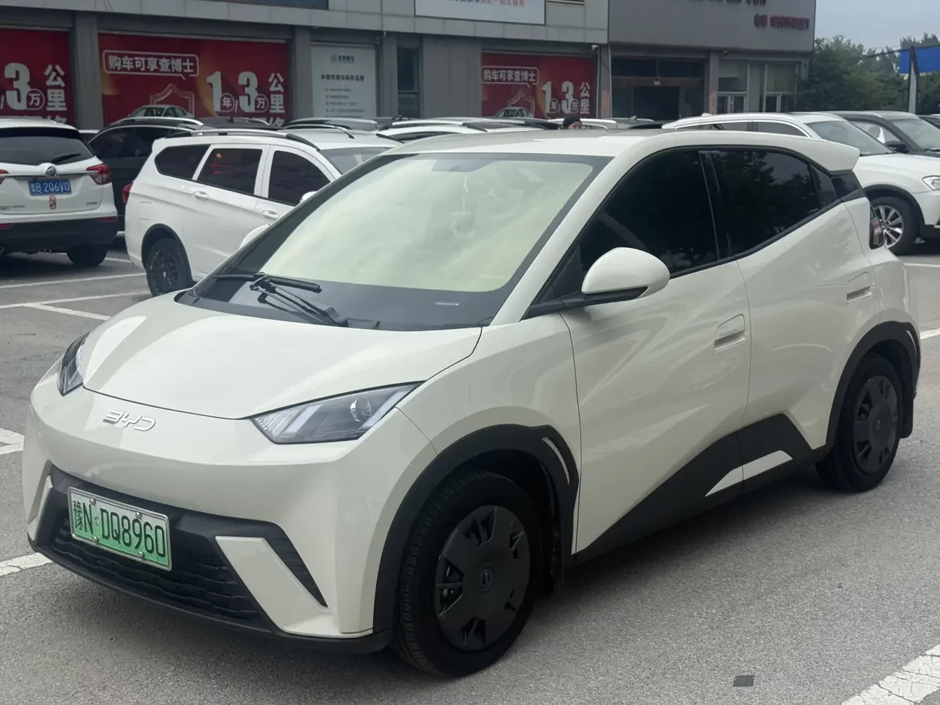 BYD seagull