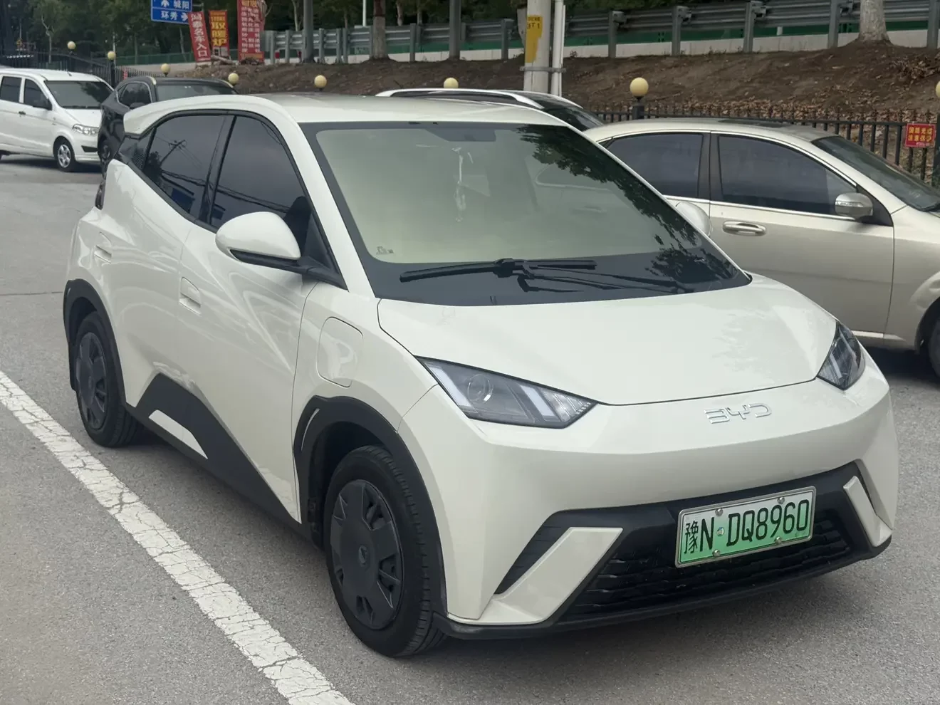 BYD seagull