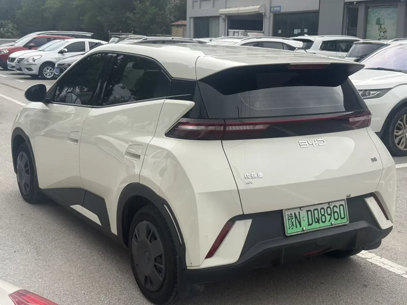 BYD seagull