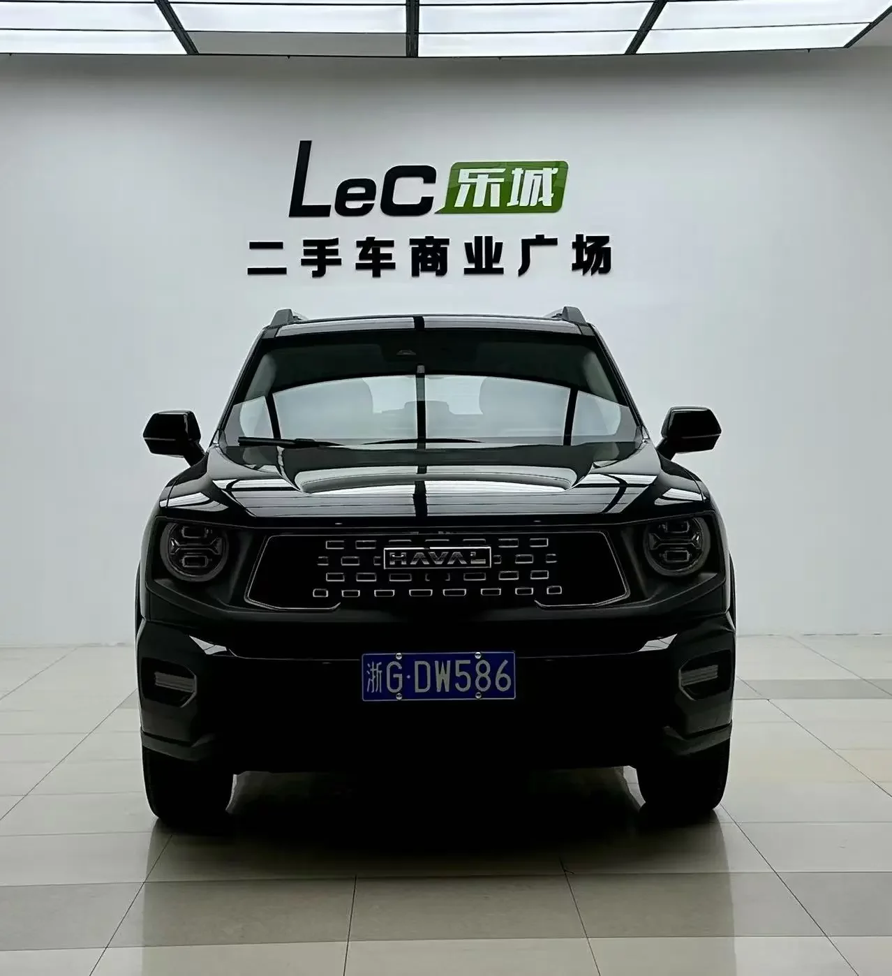 Haval H-Dog