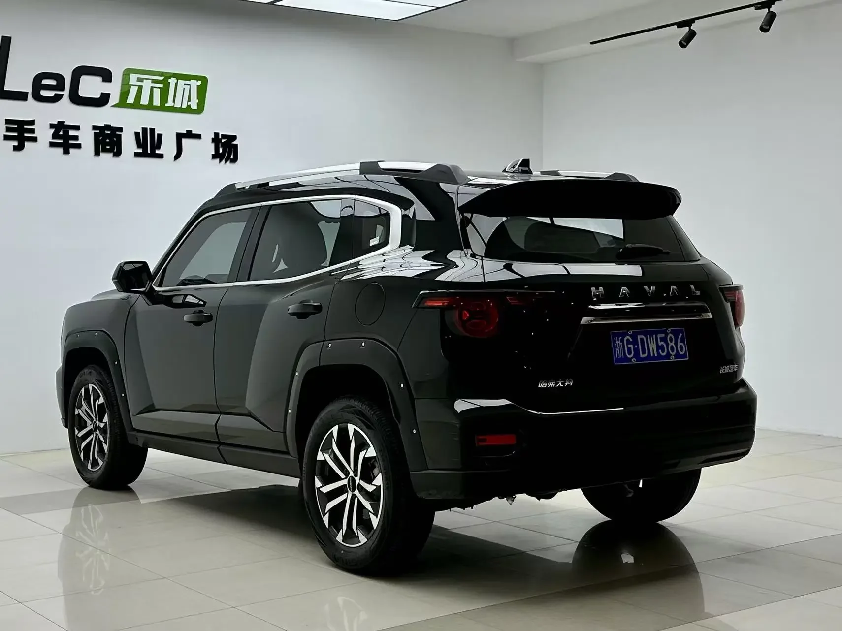 Haval H-Dog