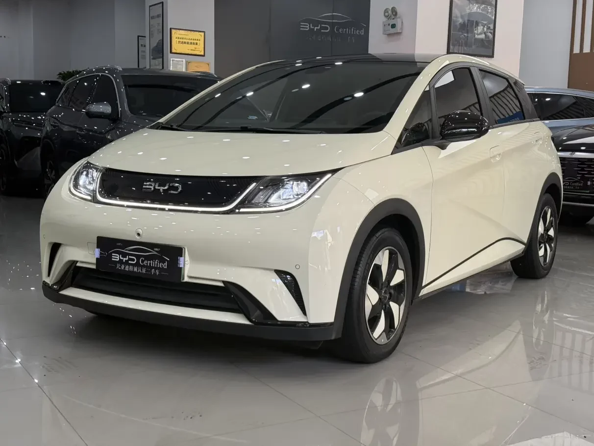 BYD dolphin