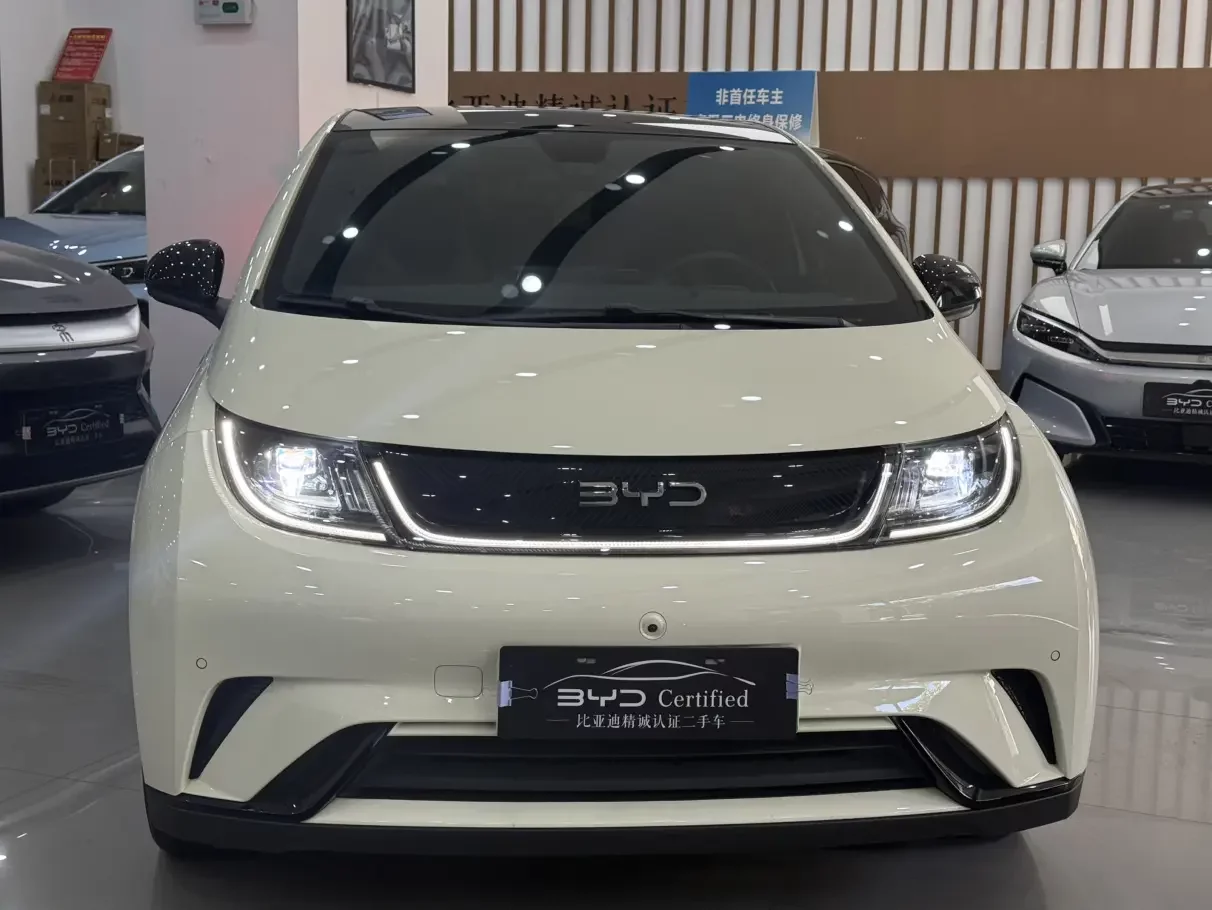BYD dolphin
