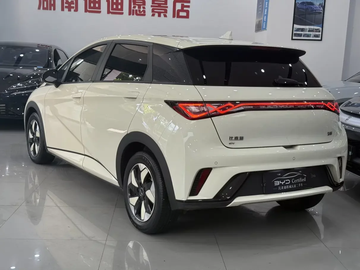 BYD dolphin