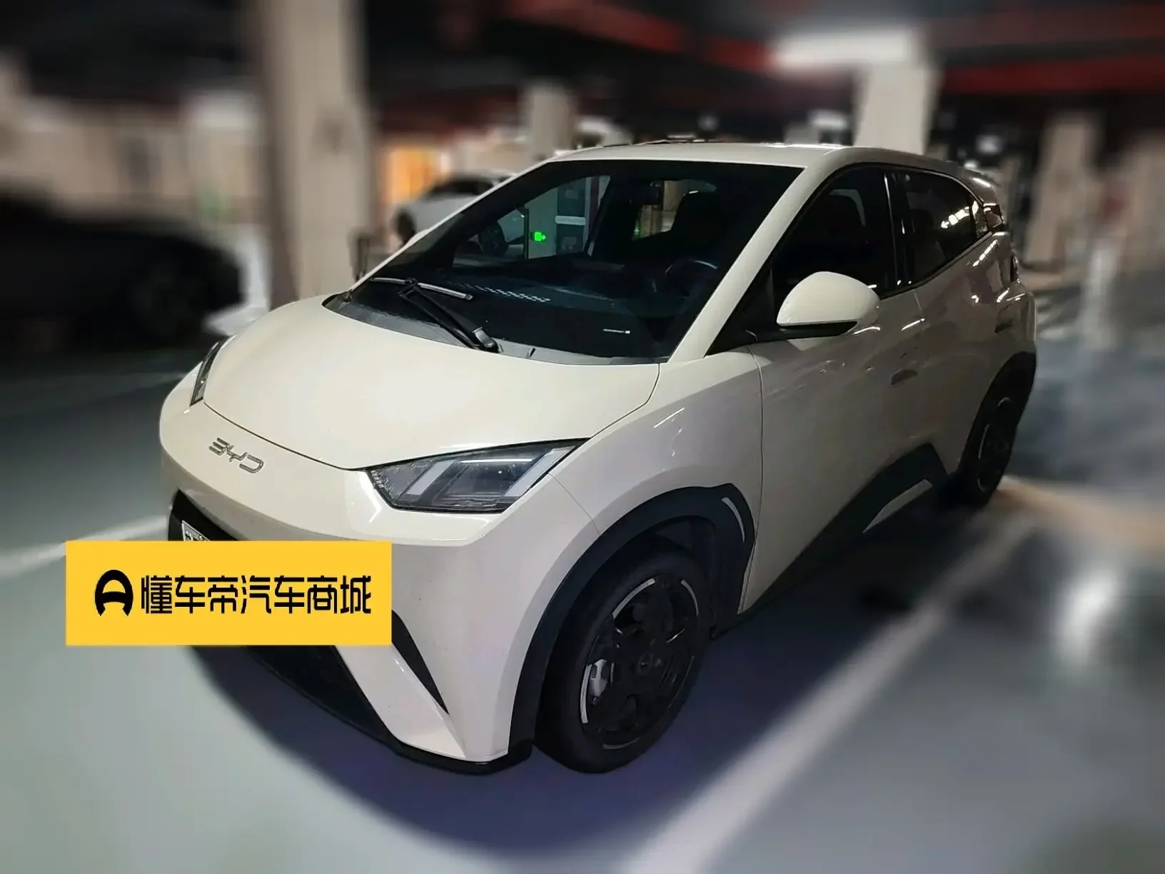 BYD seagull