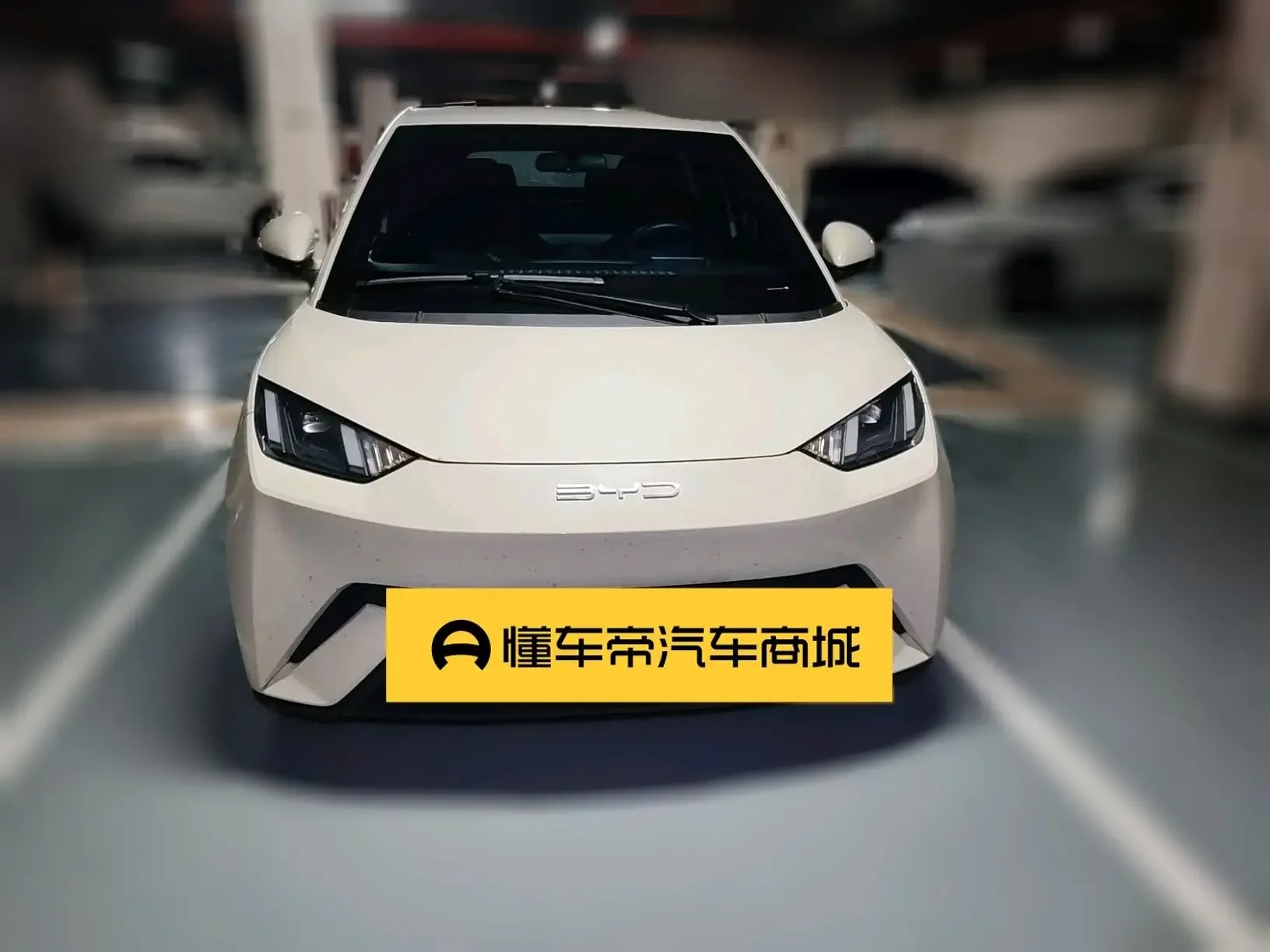 BYD seagull