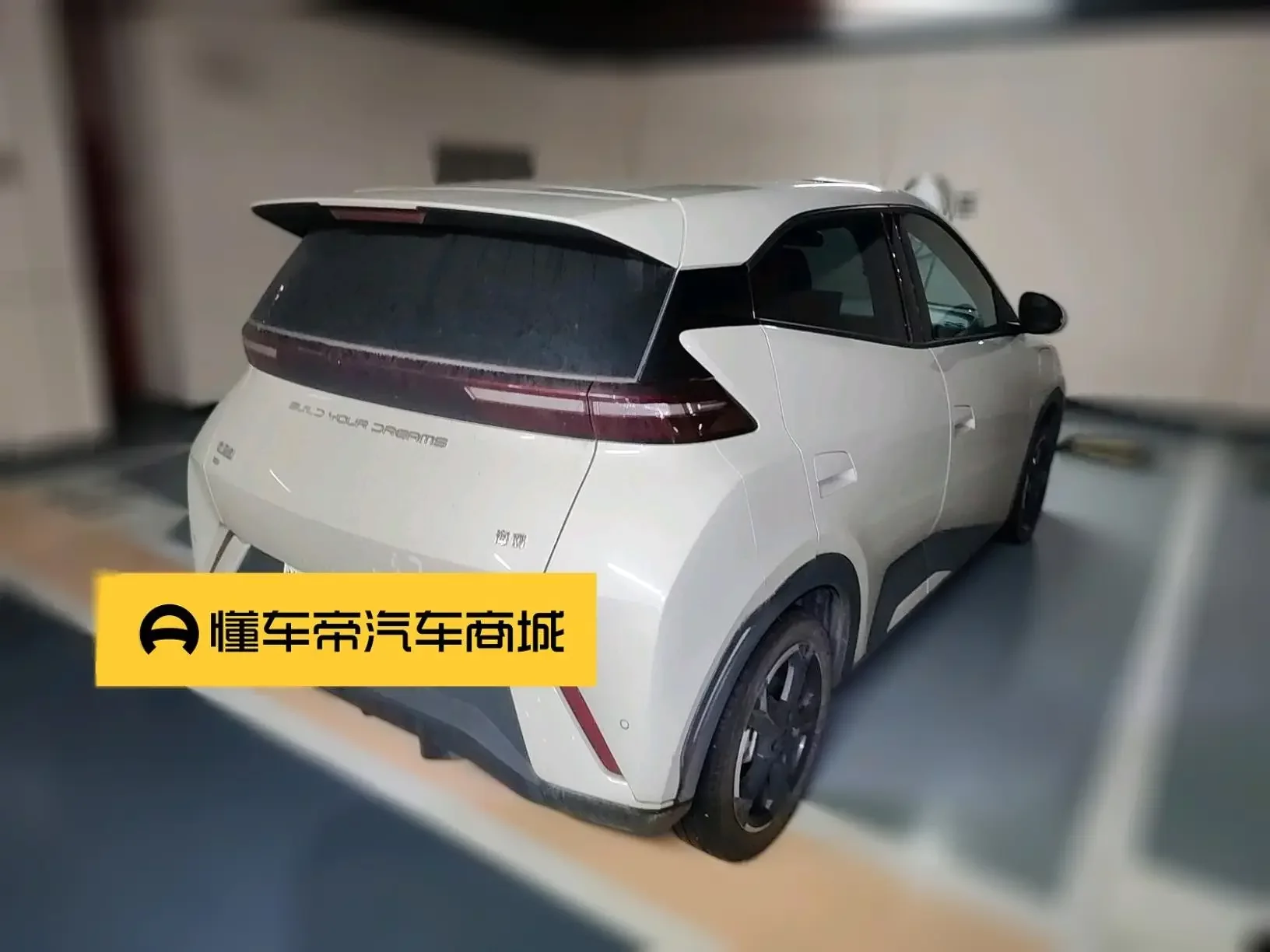 BYD seagull