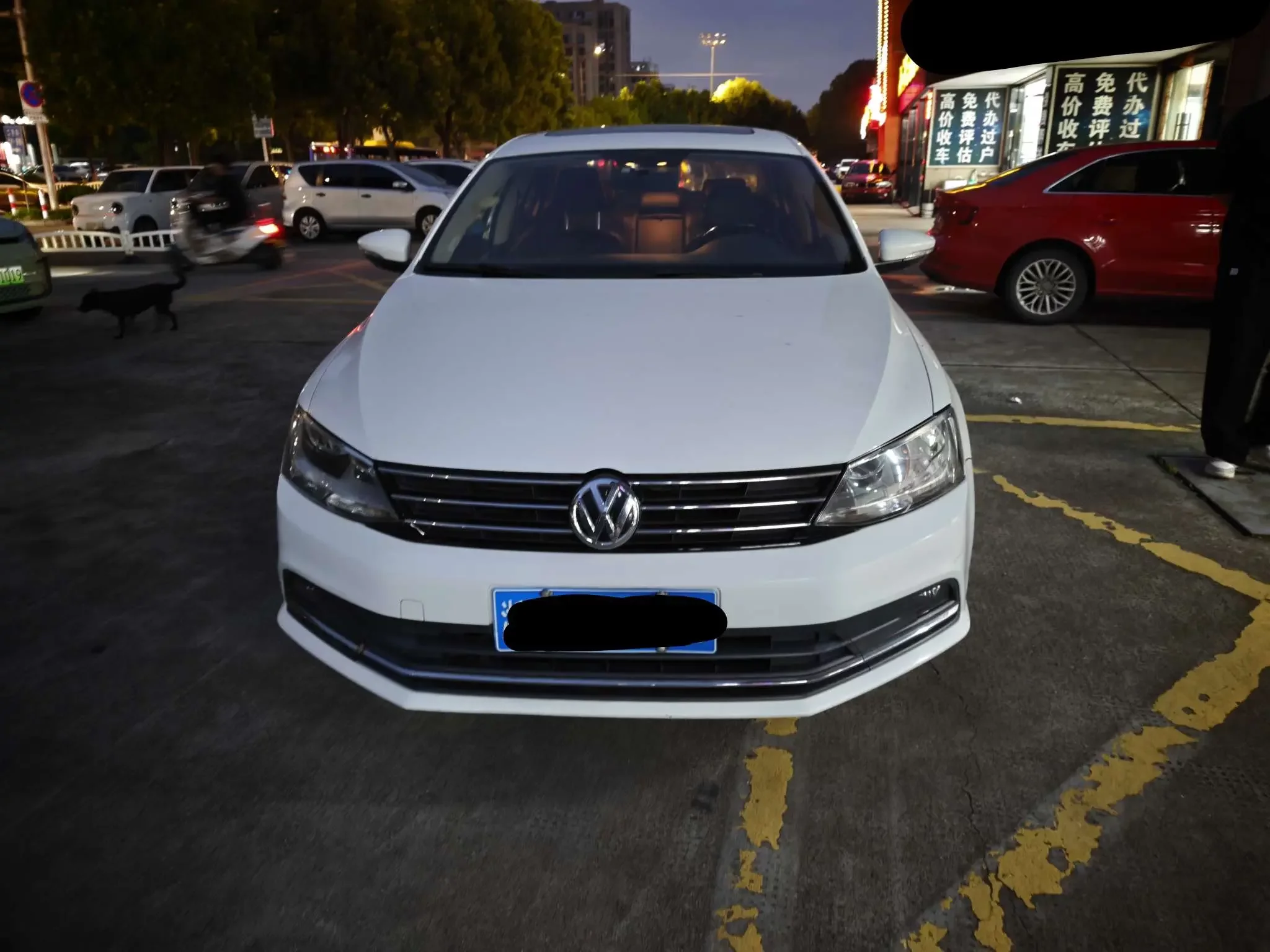 Volkswagen Sagitar