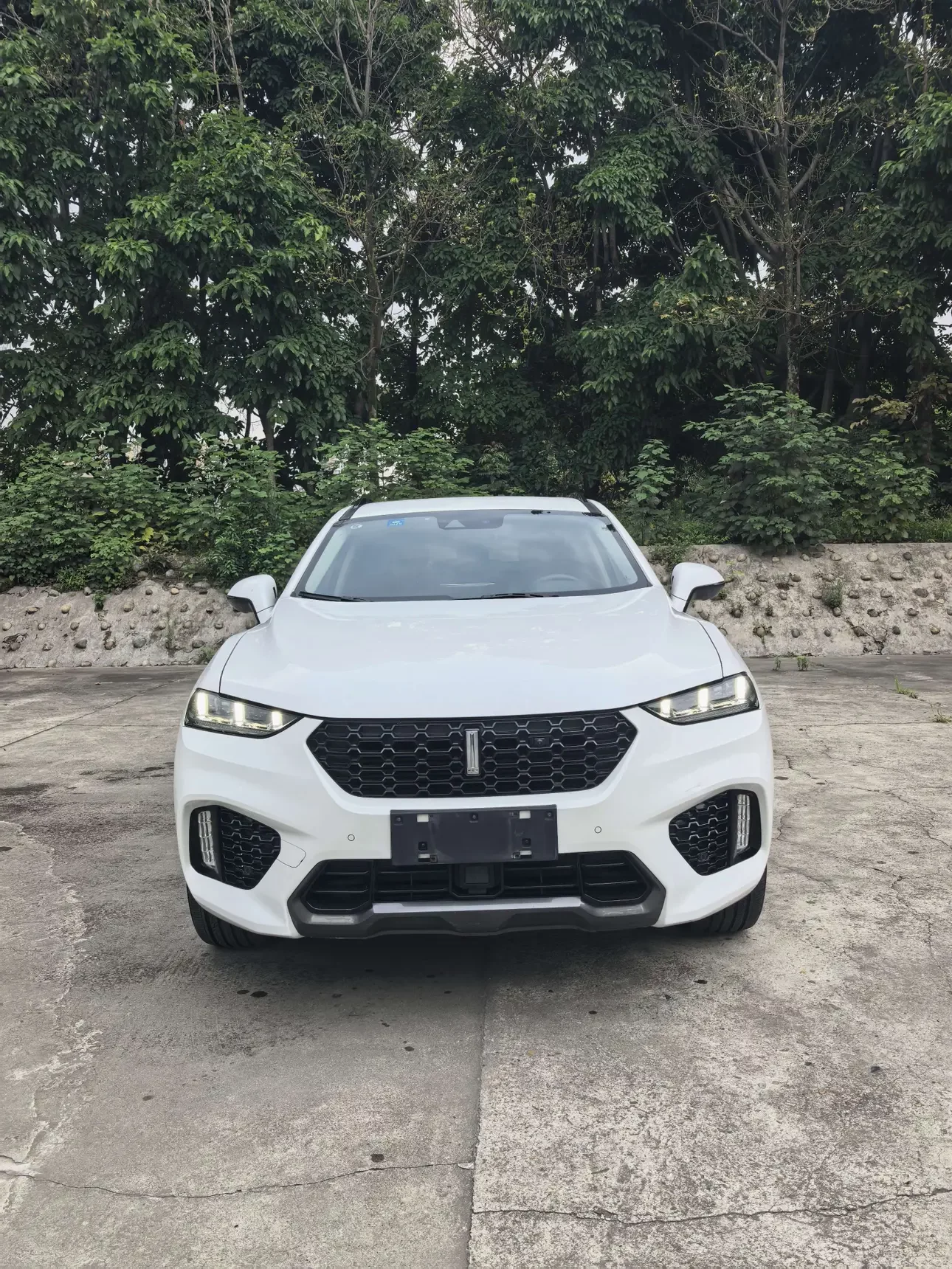 Wey Wei brand VV7