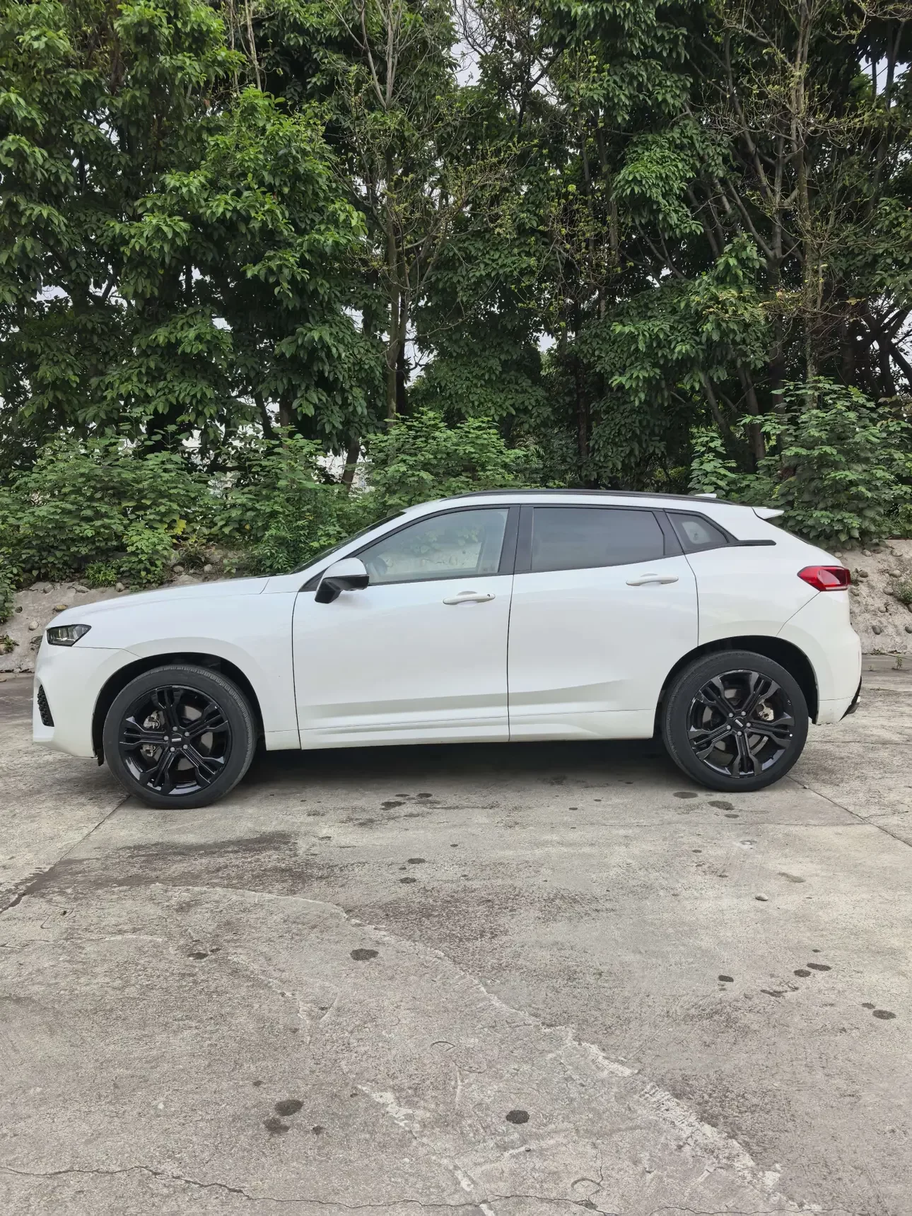 Wey Wei brand VV7