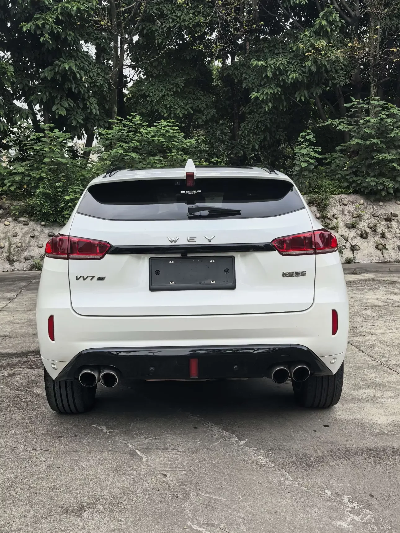 Wey Wei brand VV7