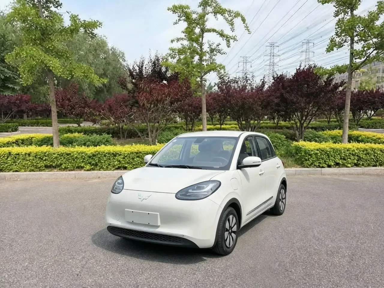 Wuling Bingo