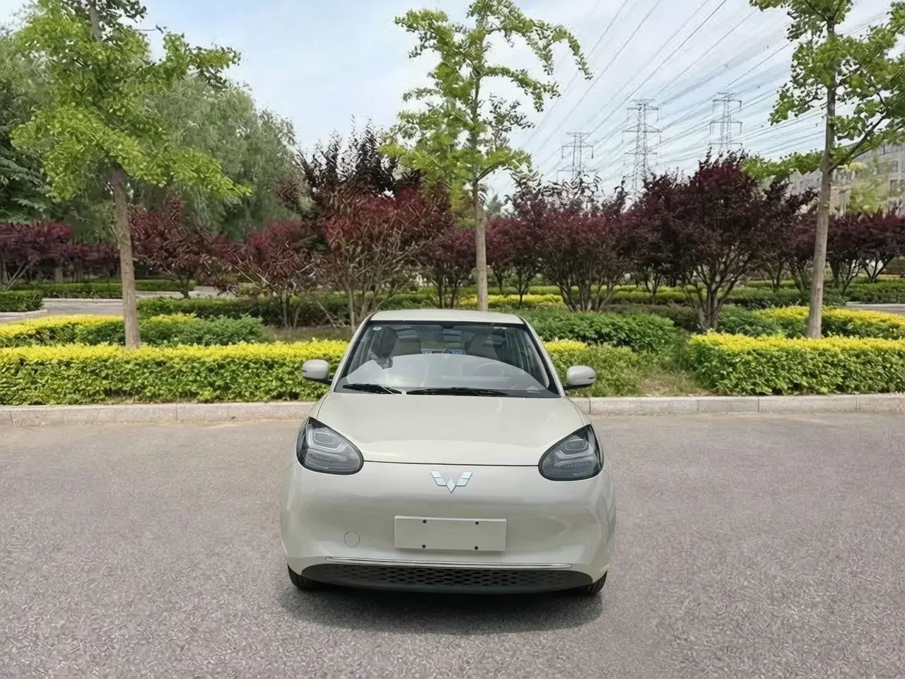 Wuling Bingo