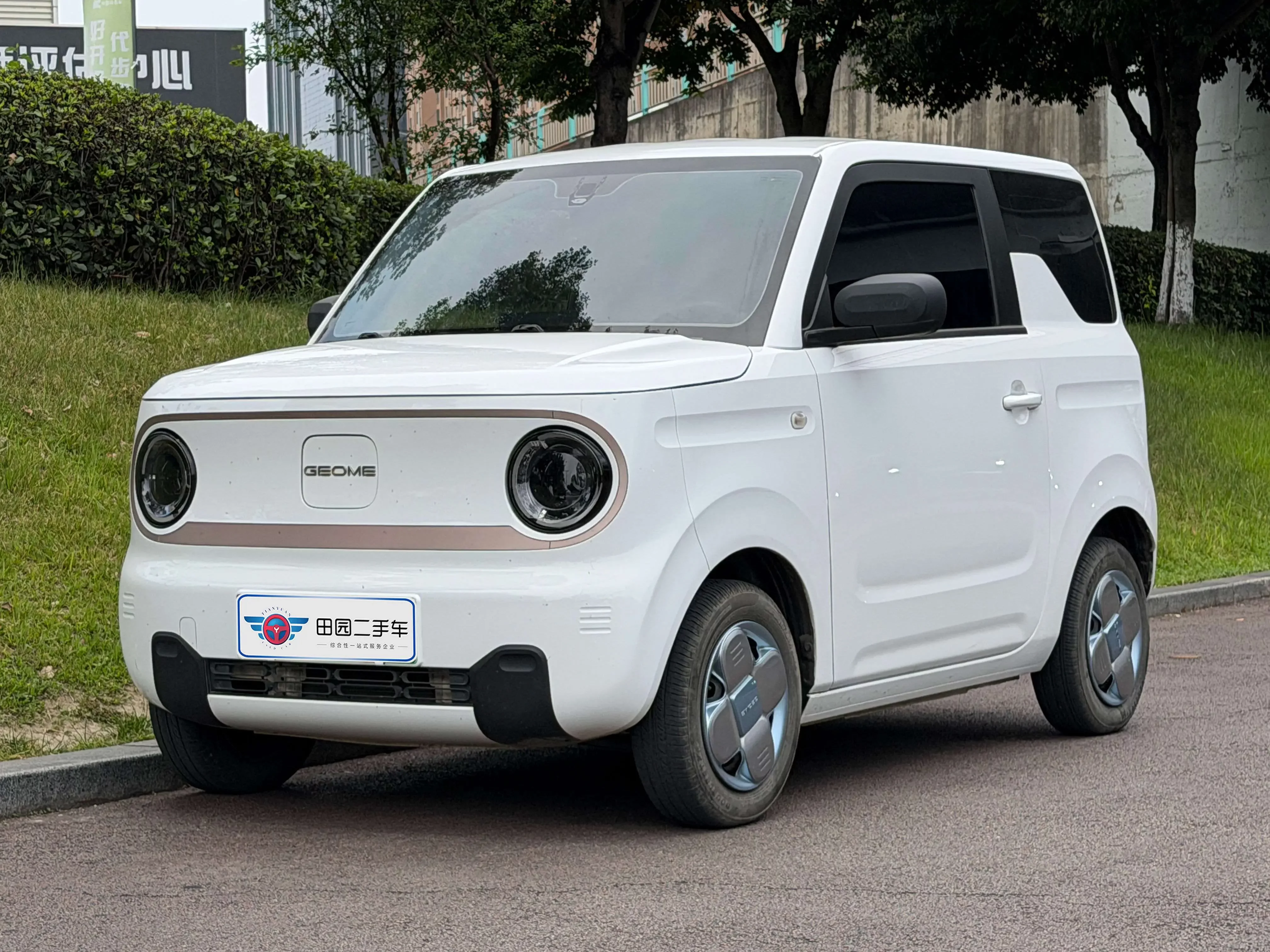 Geely panda