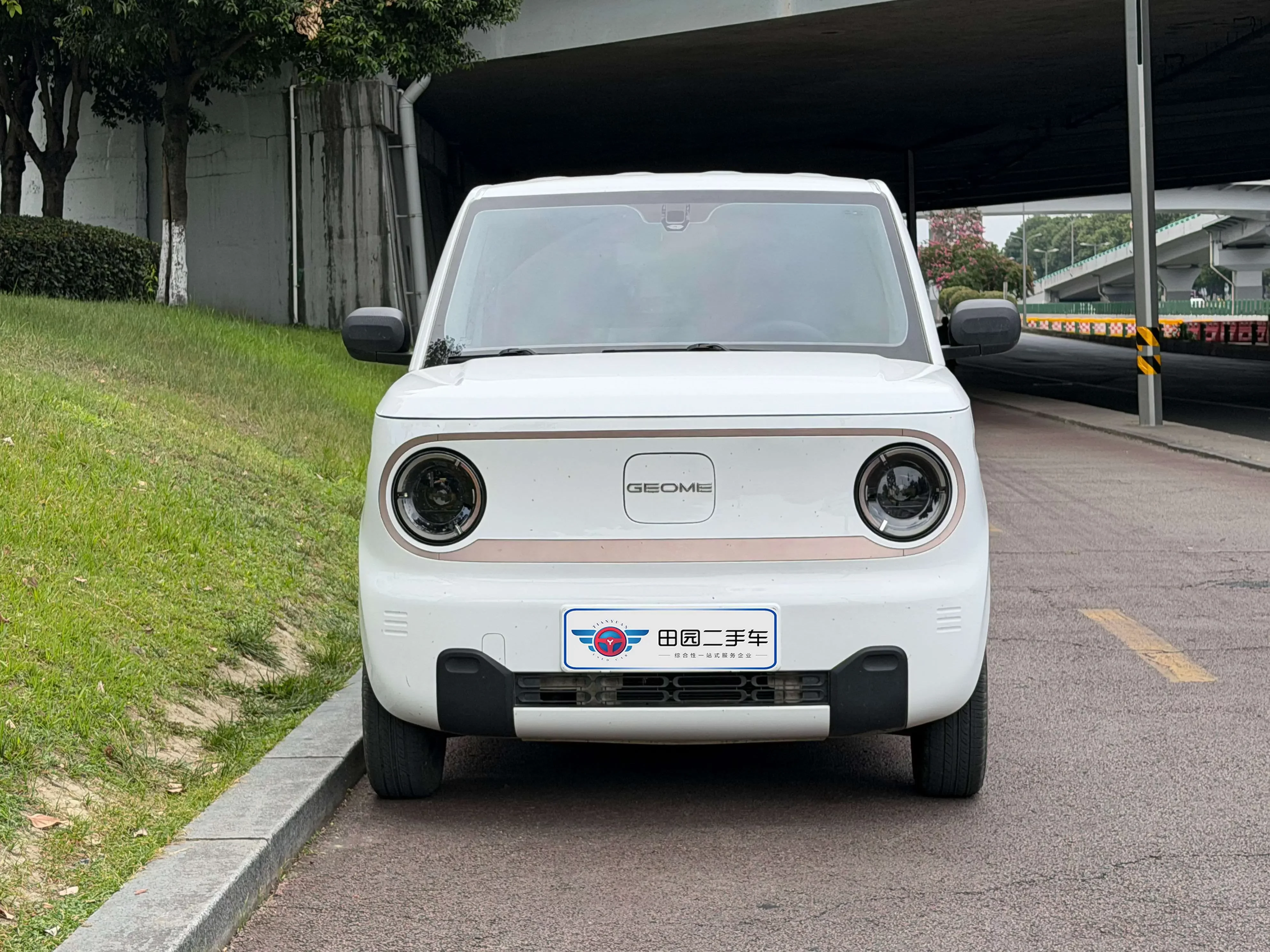 Geely panda