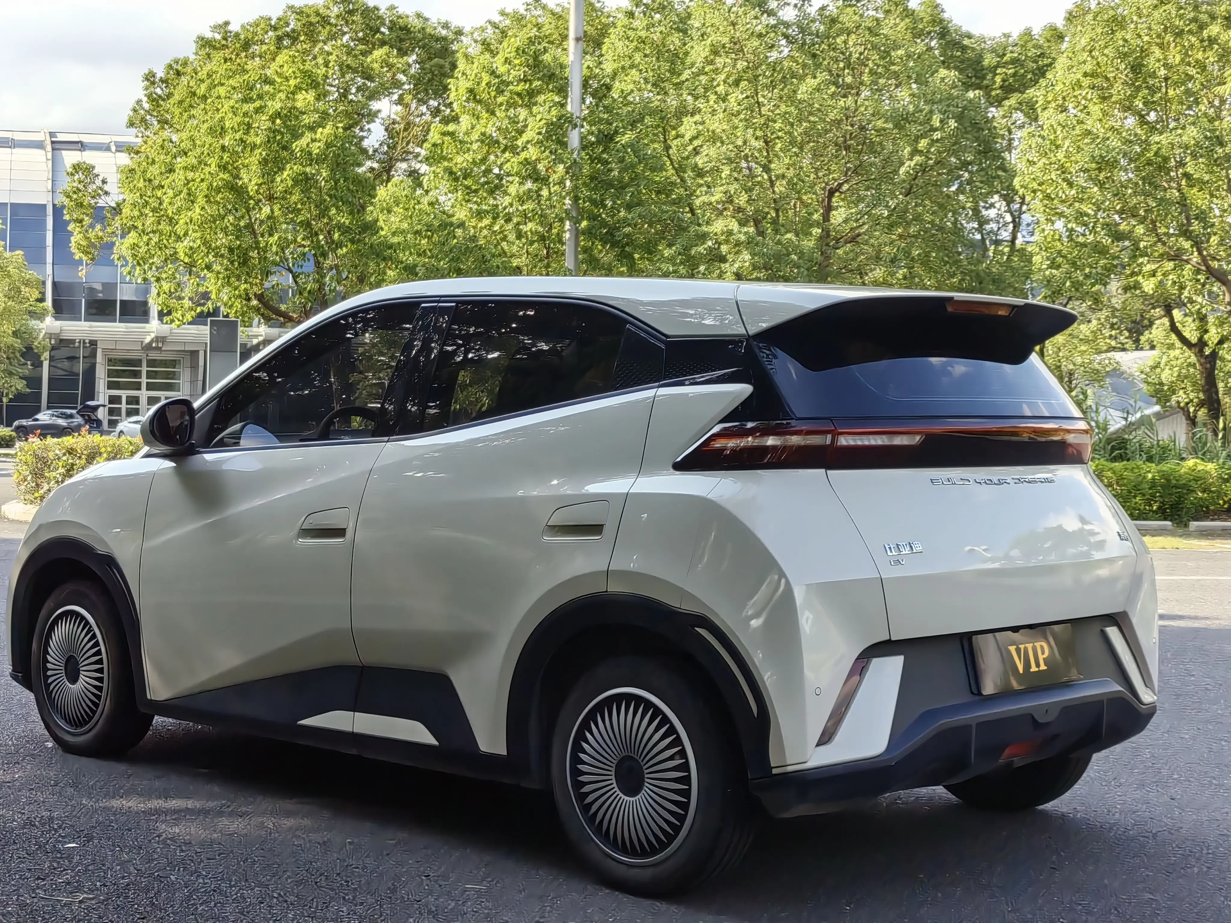 BYD seagull