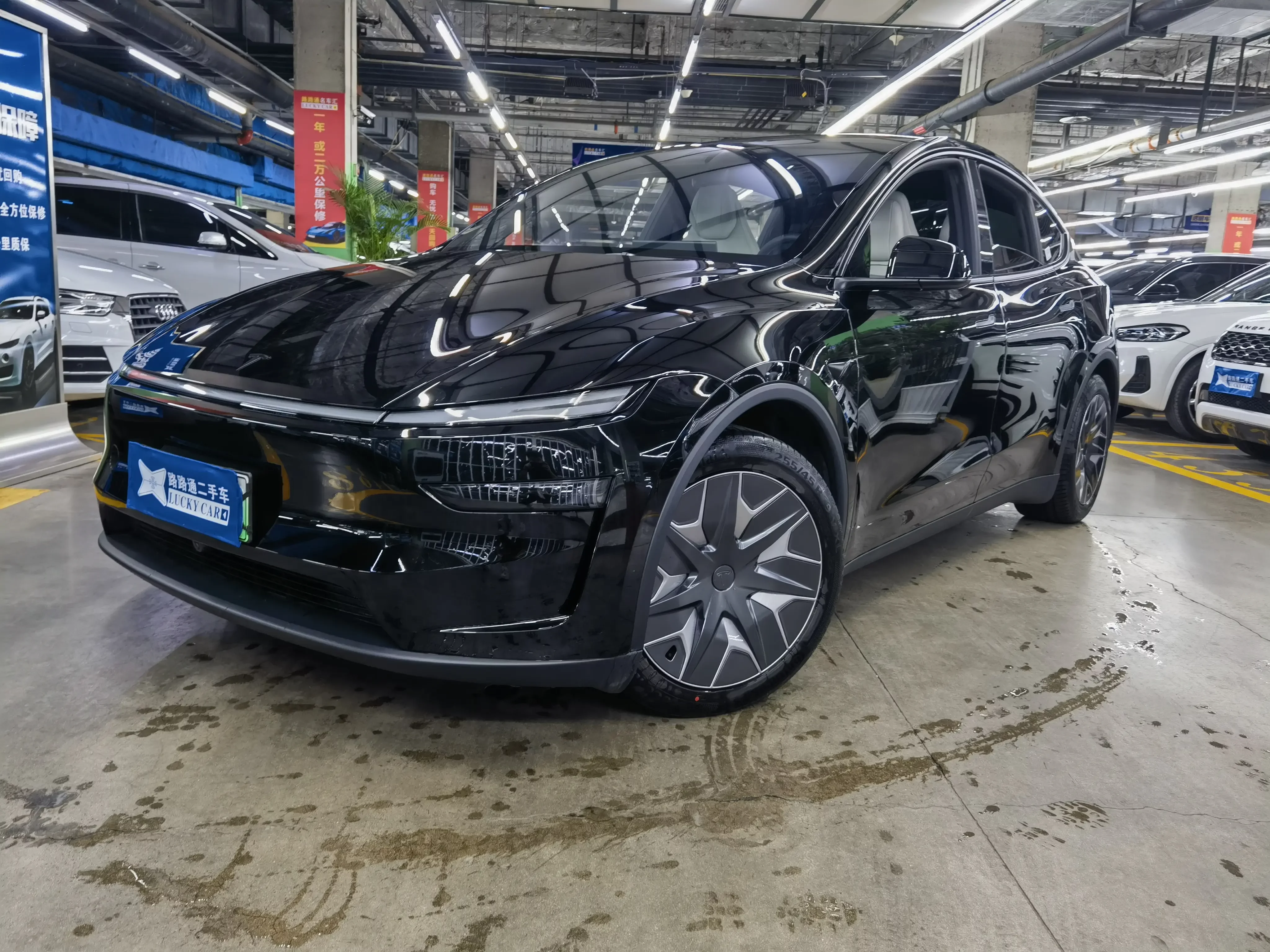 Tesla Model YL