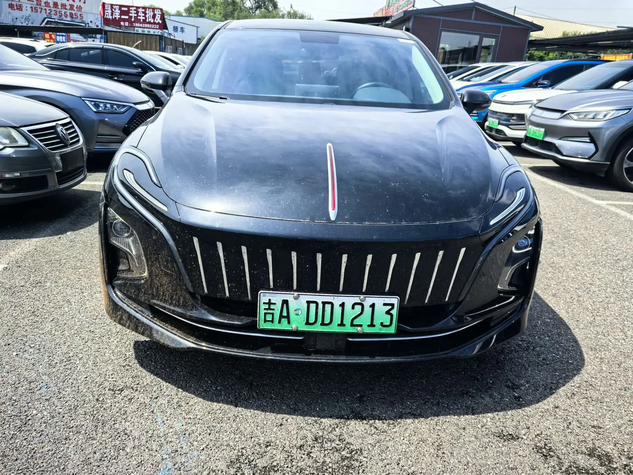 Hongqi E-QM5  из Китая