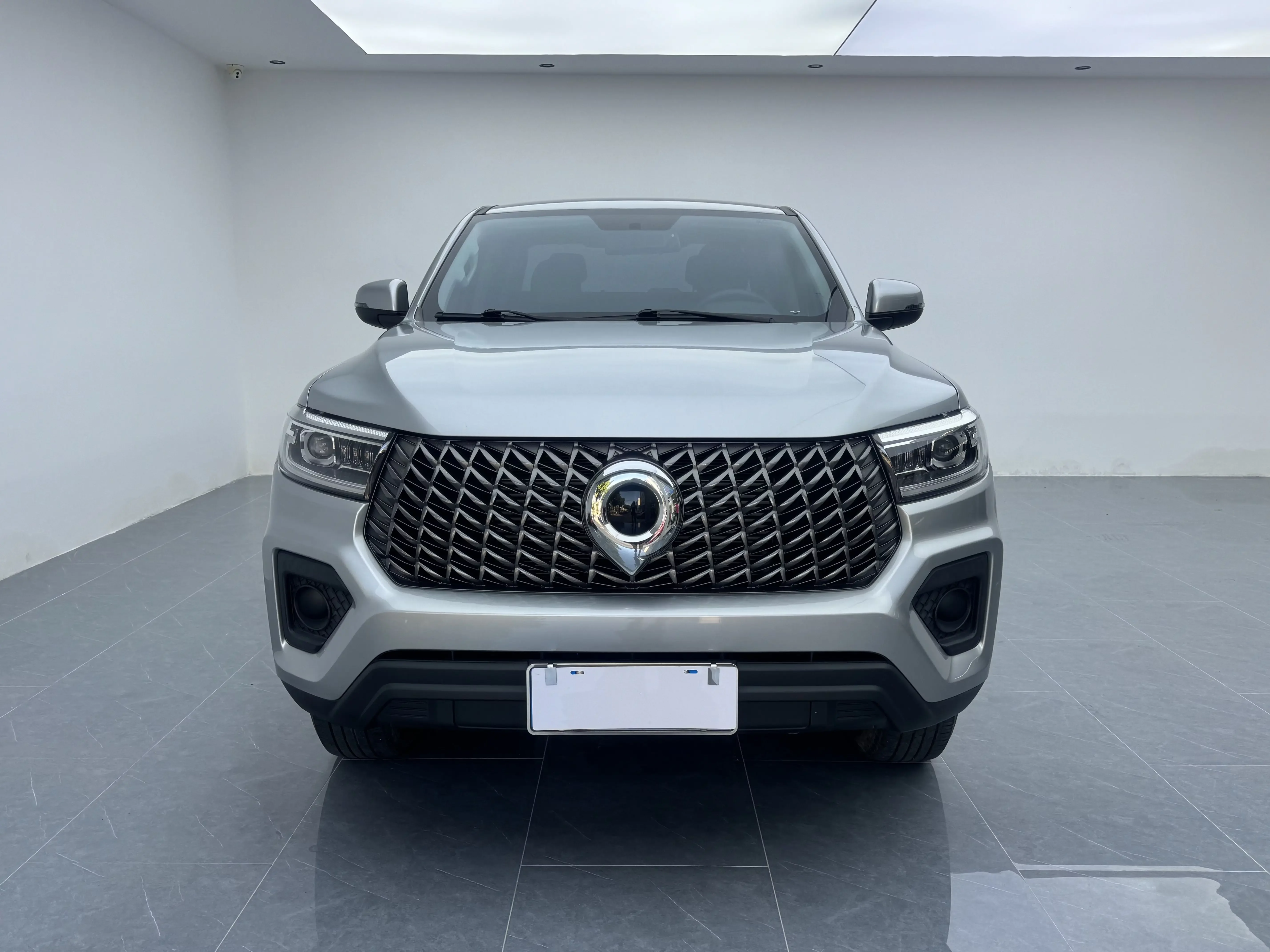 Great Wall Poer (gun)  из Китая