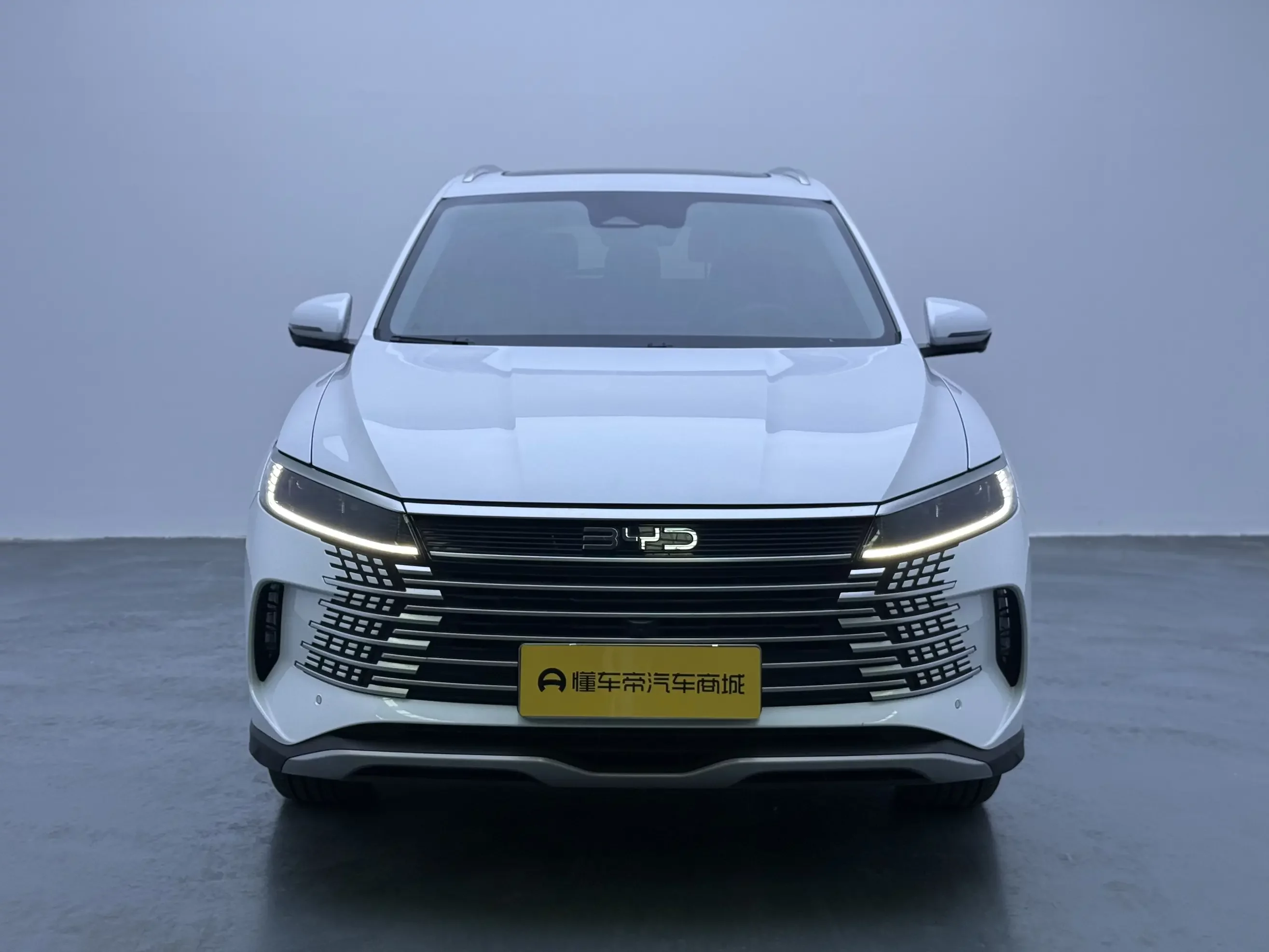 BYD Sea Lion 05DM