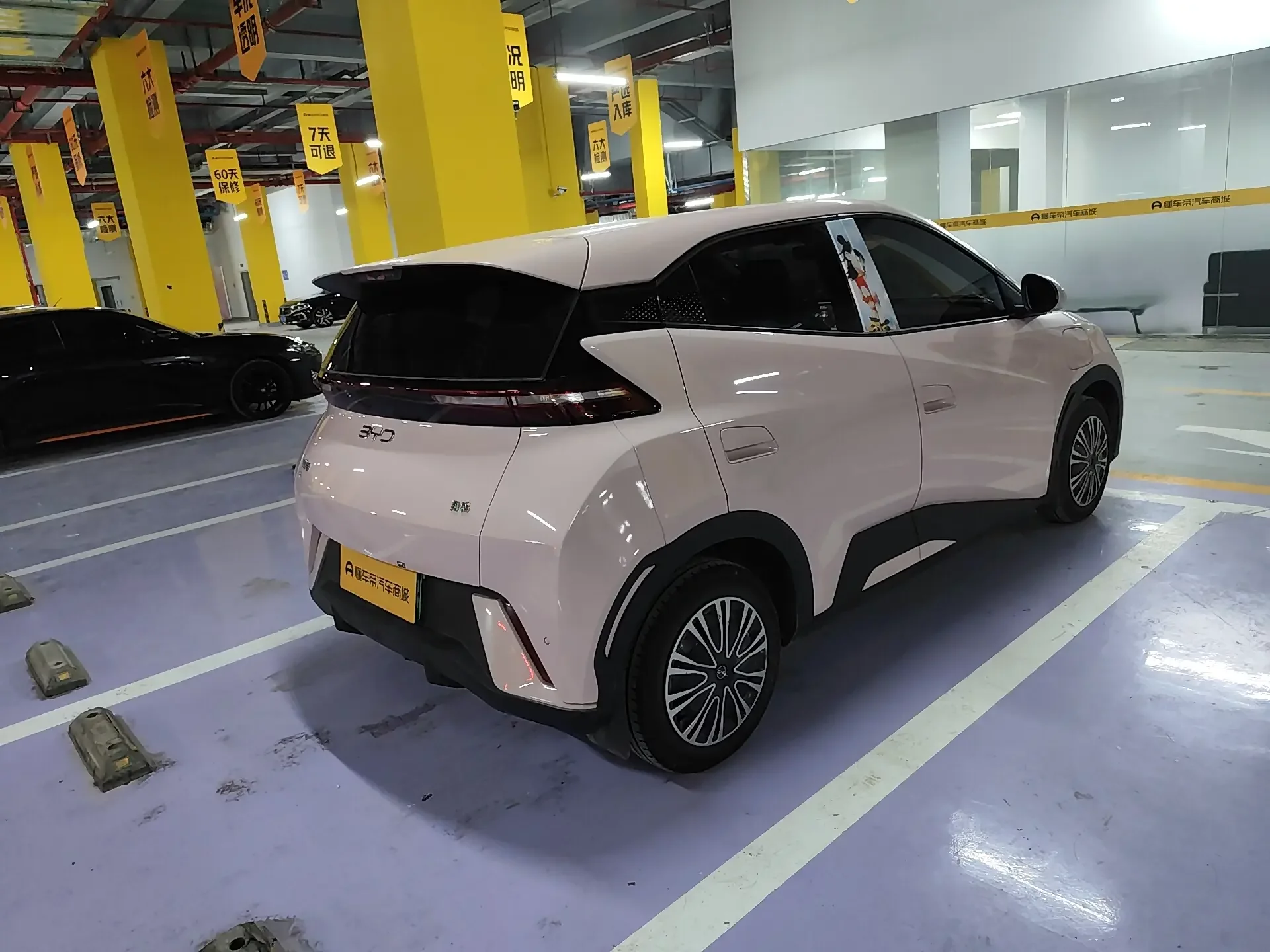 BYD seagull