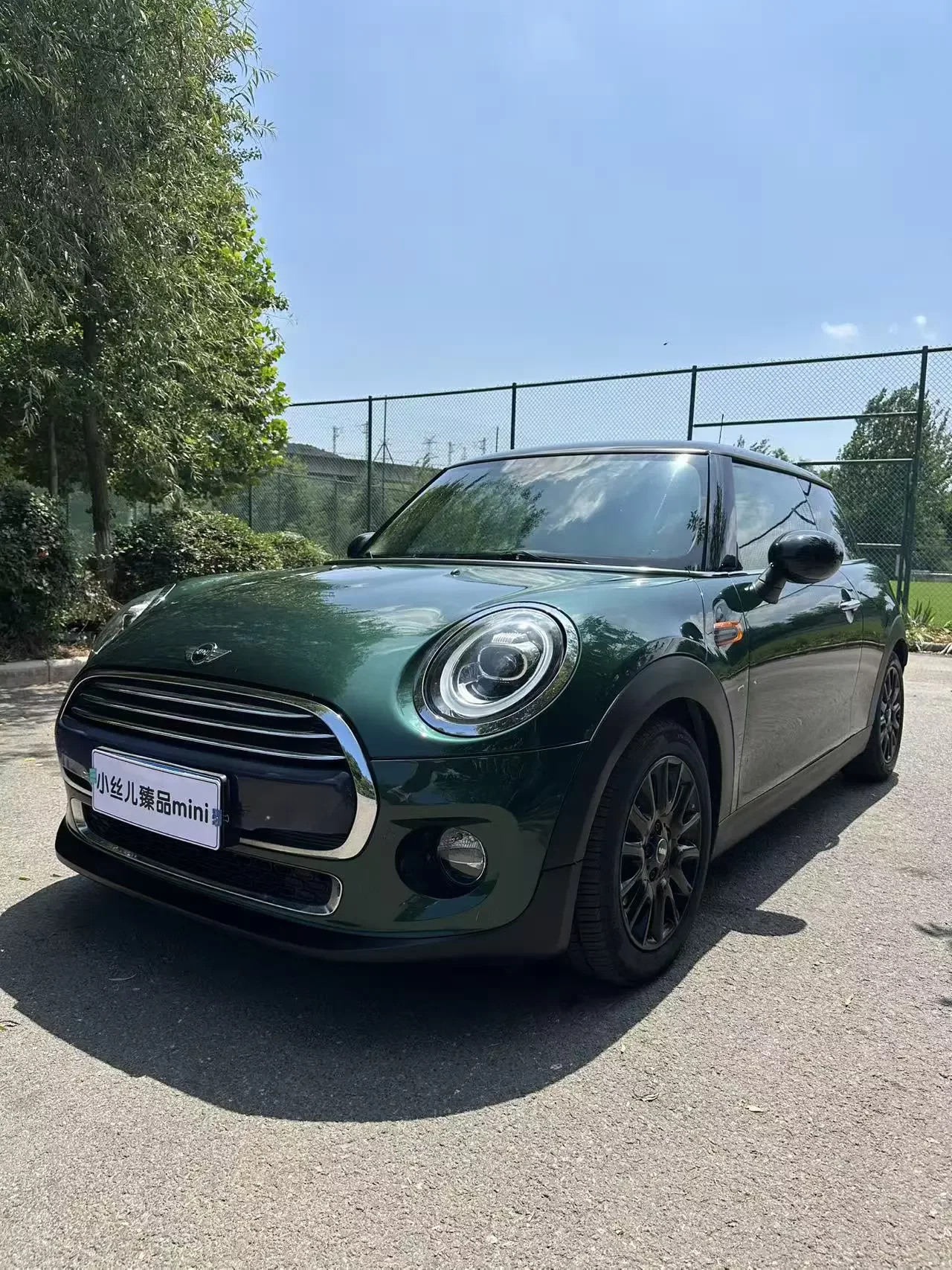 MINI 