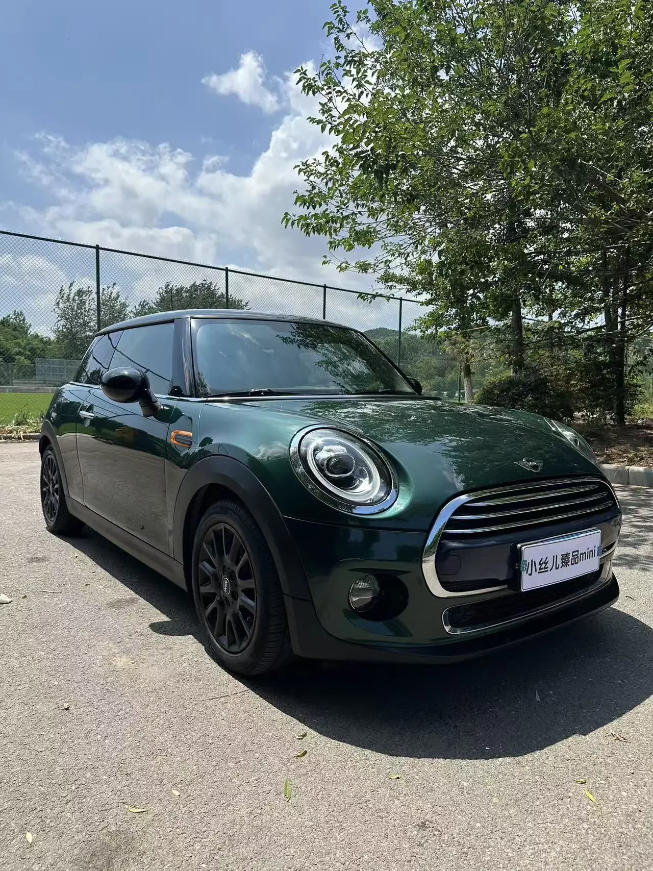 MINI 