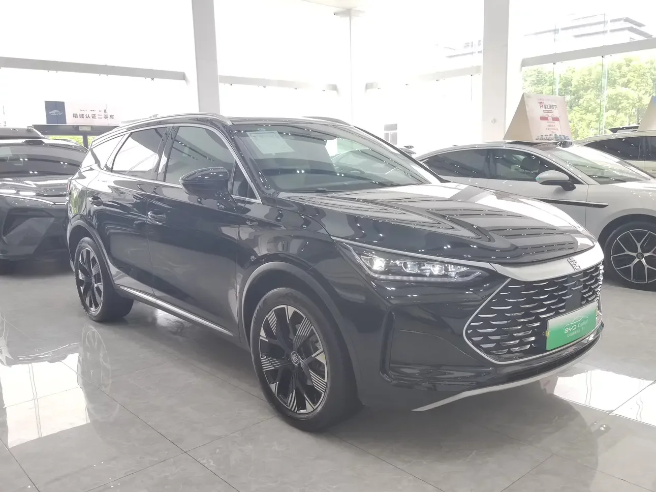 BYD Tang DM