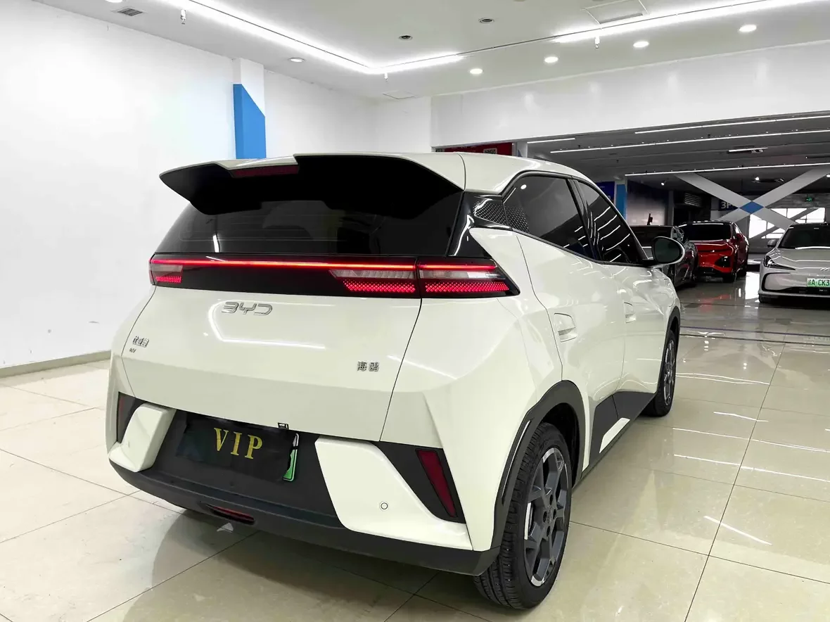 BYD seagull