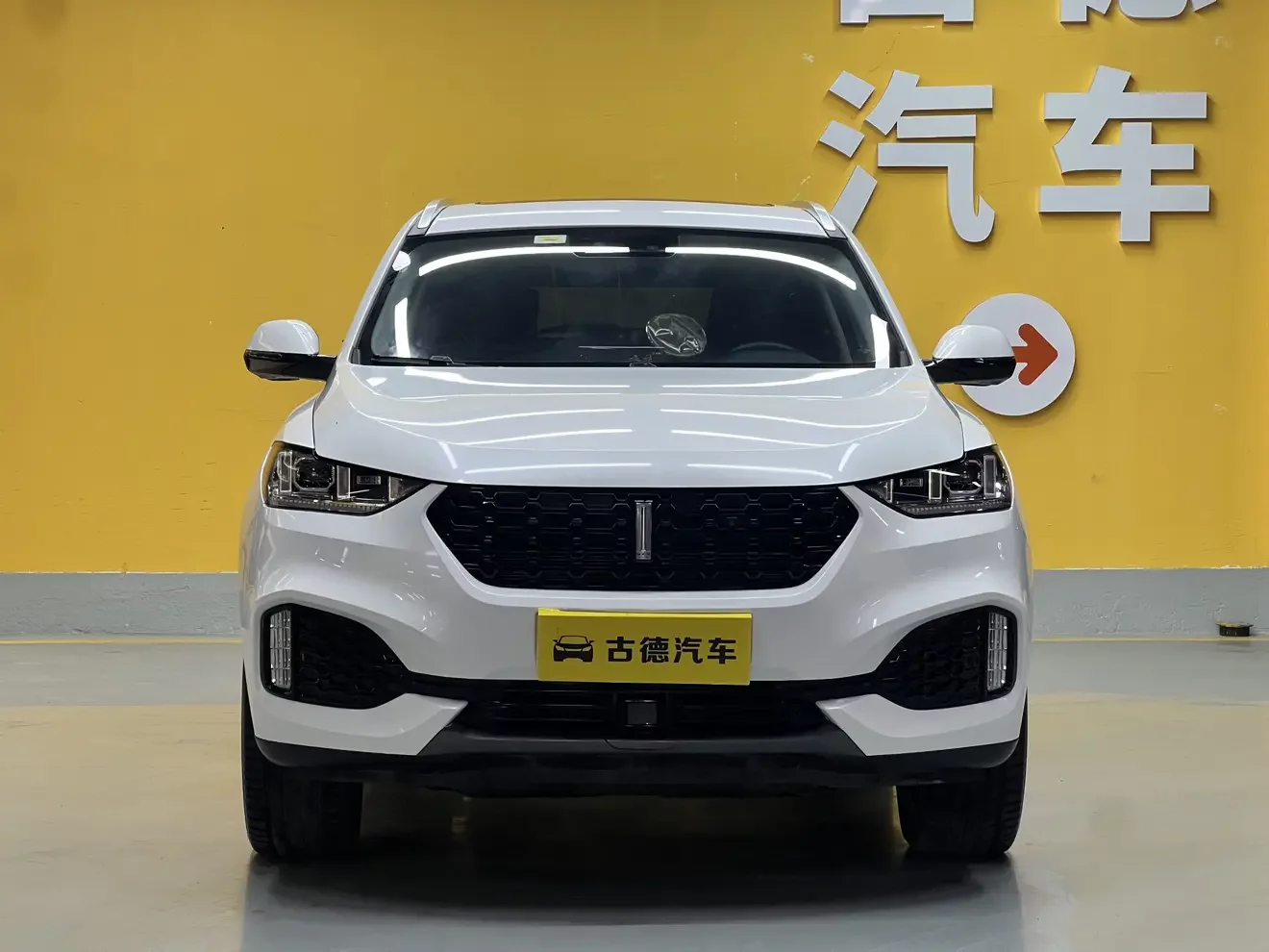 Wey Wei brand VV6