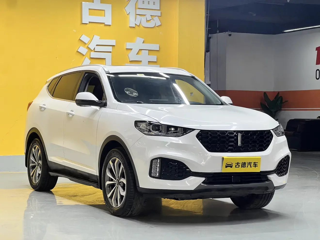 Wey Wei brand VV6