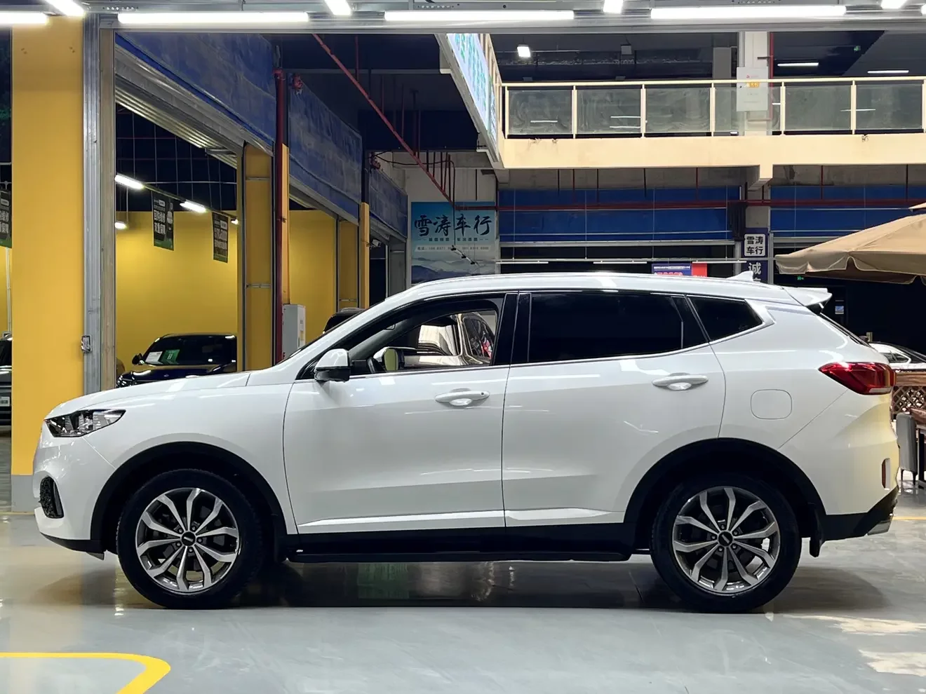 Wey Wei brand VV6